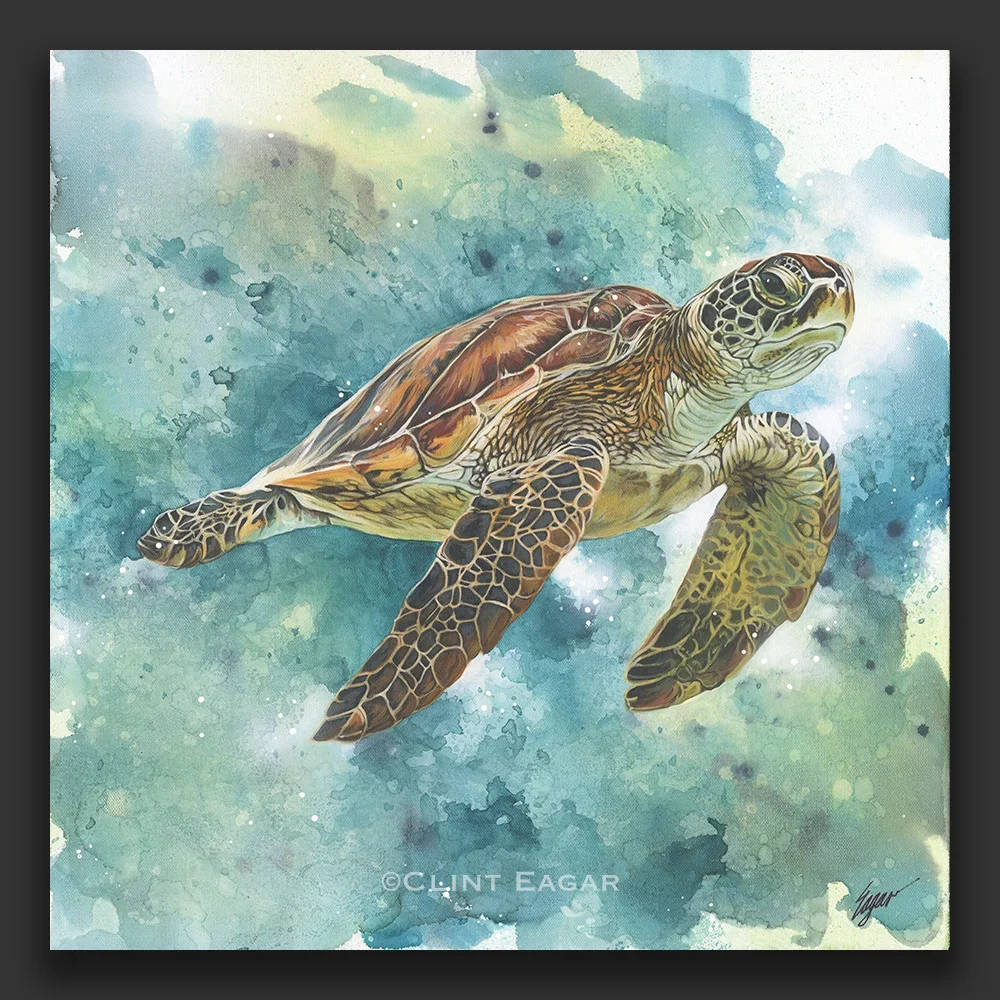 a sea turtle in acrylic by Clint Eagar, swimming through a loose teal and blue watercolor wash on canvas.