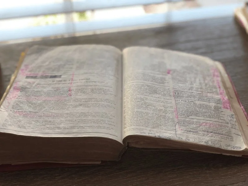 How to study the Bible