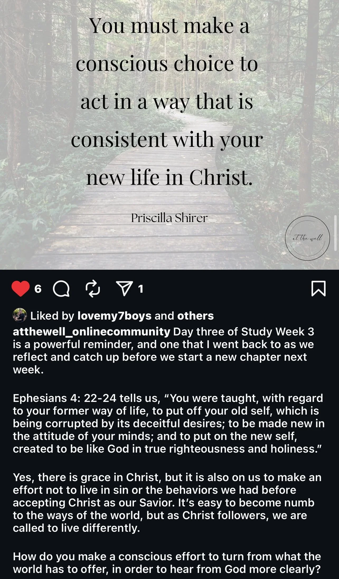 IMG_6351.jpg