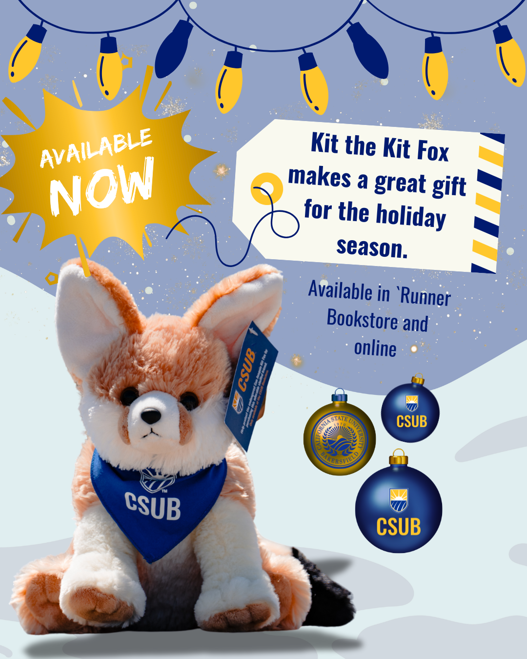 Kit the Kit Fox  .png