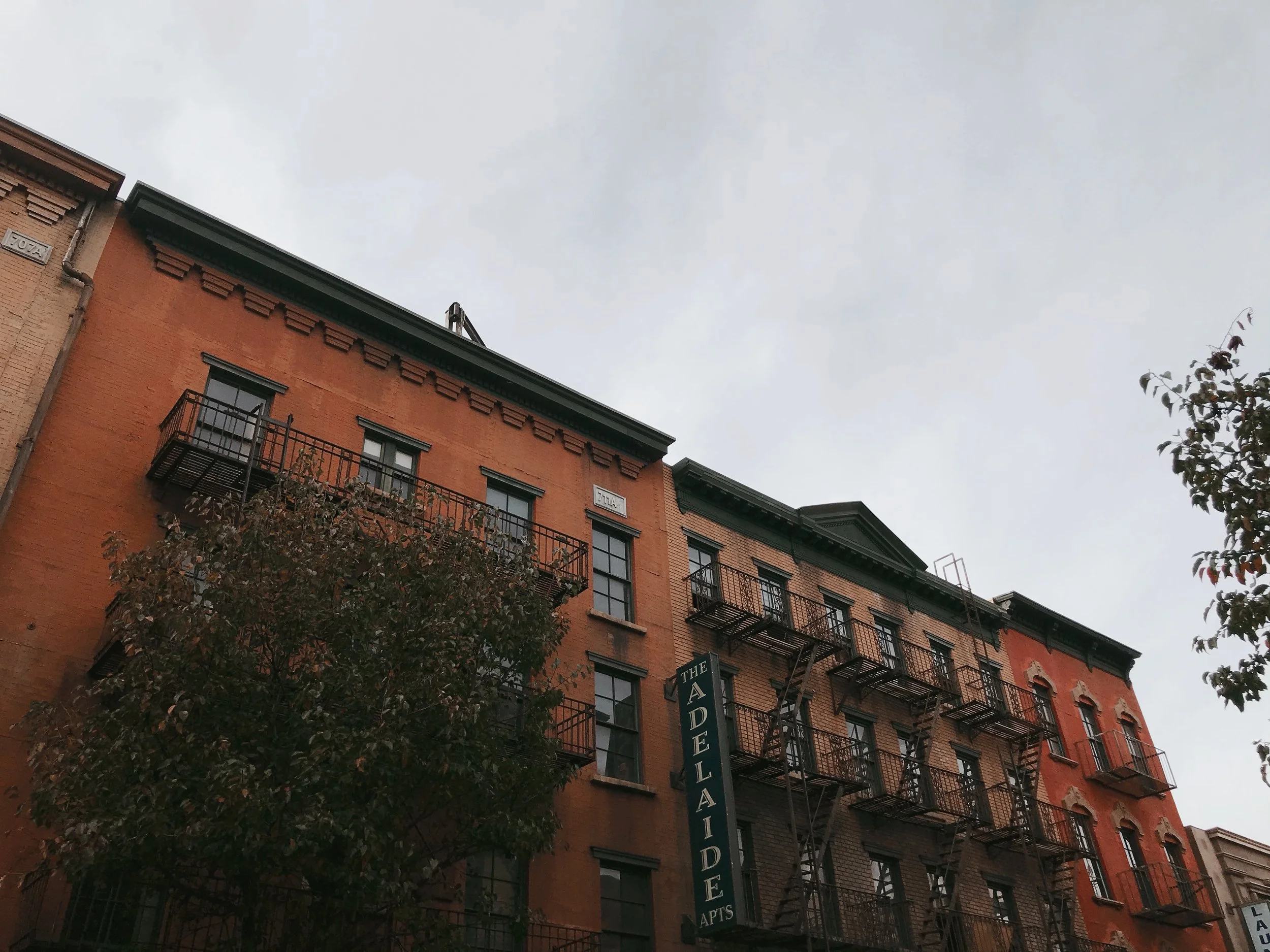 AfterlightImage 18.JPG