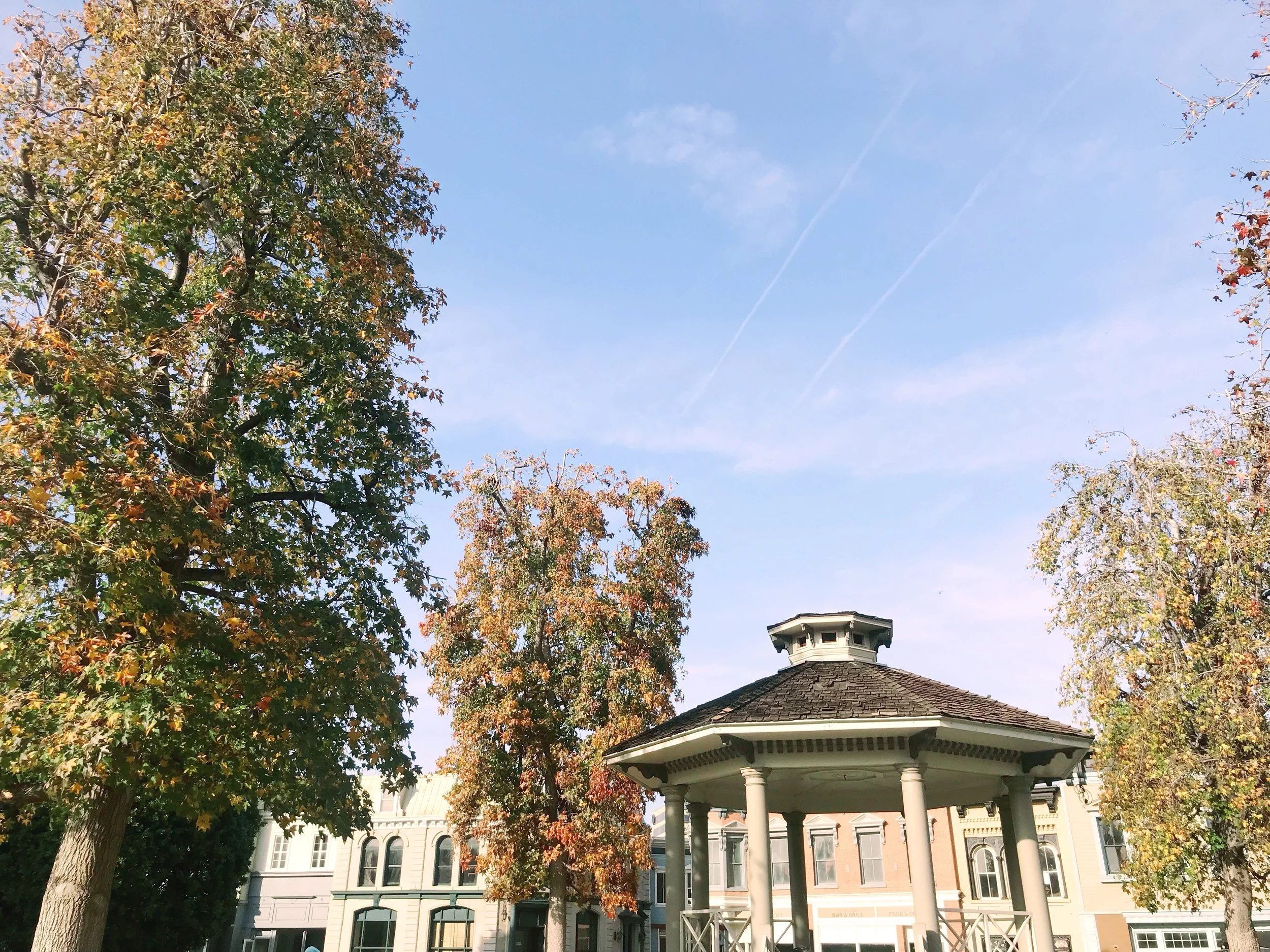 AfterlightImage 18.JPG