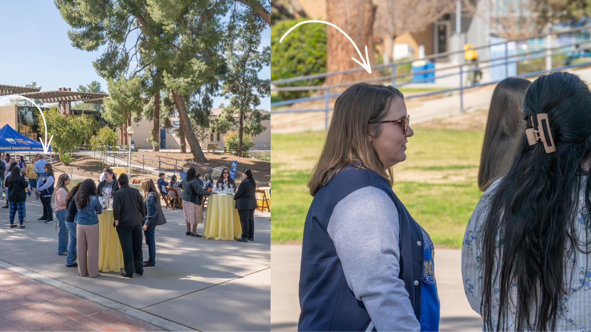 Untitled design(1).png