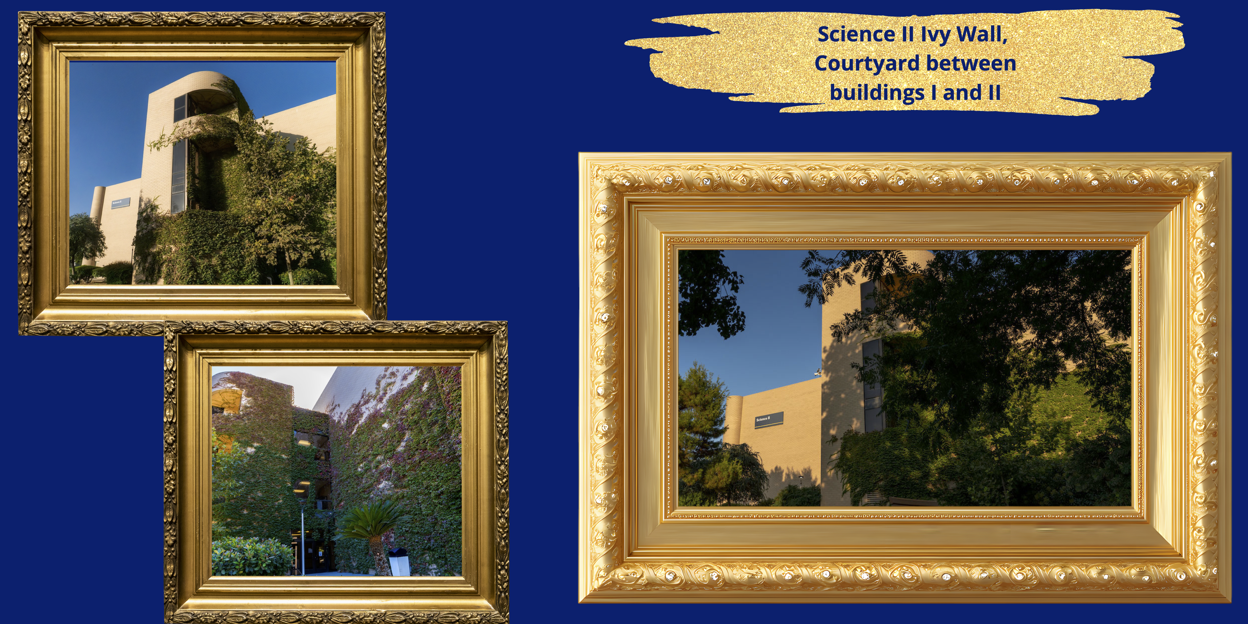 Photo Locations Commencement (dragged) 10.png