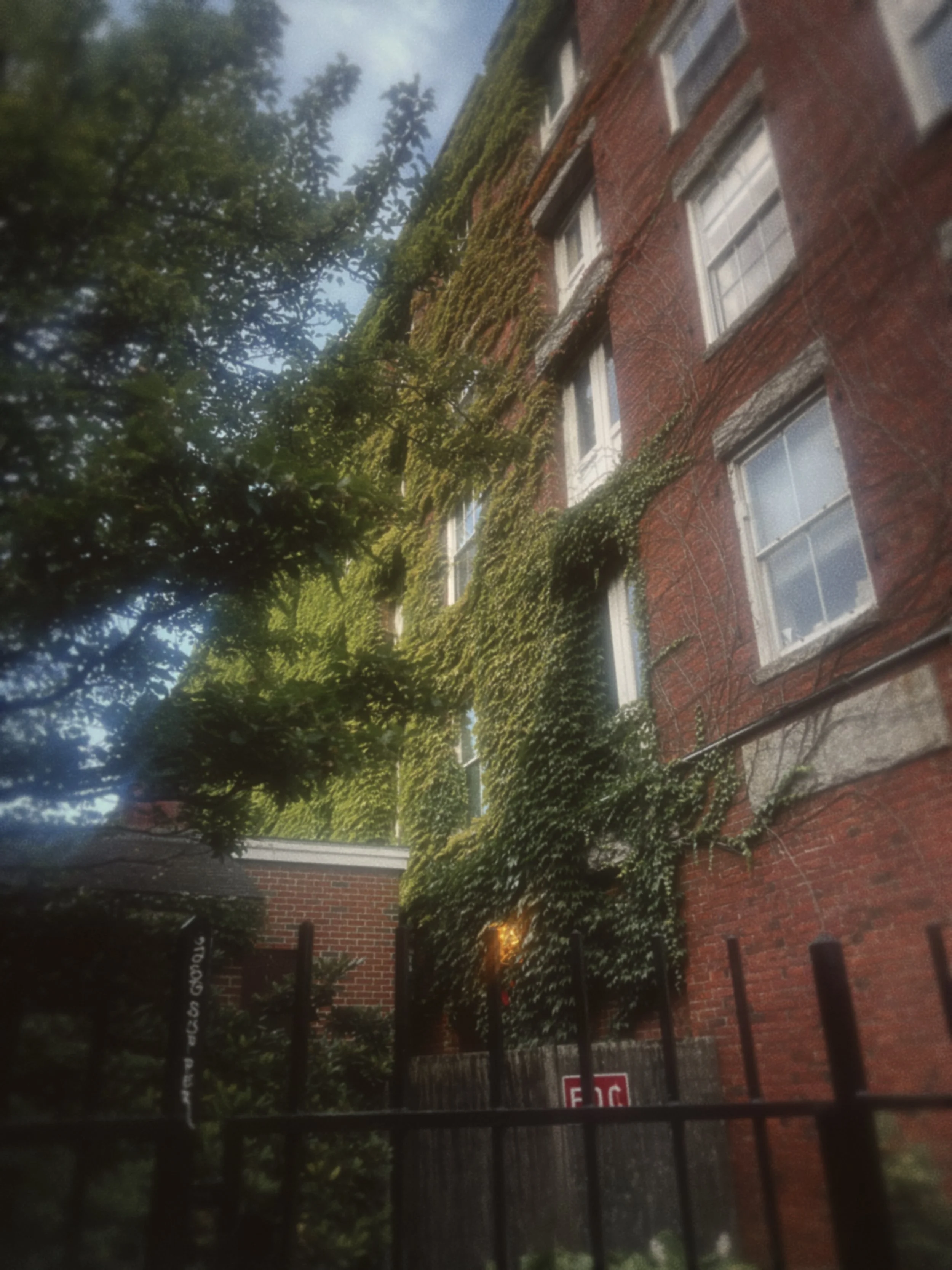 C634615A-17C8-451B-9D73-2C1595130807.JPEG