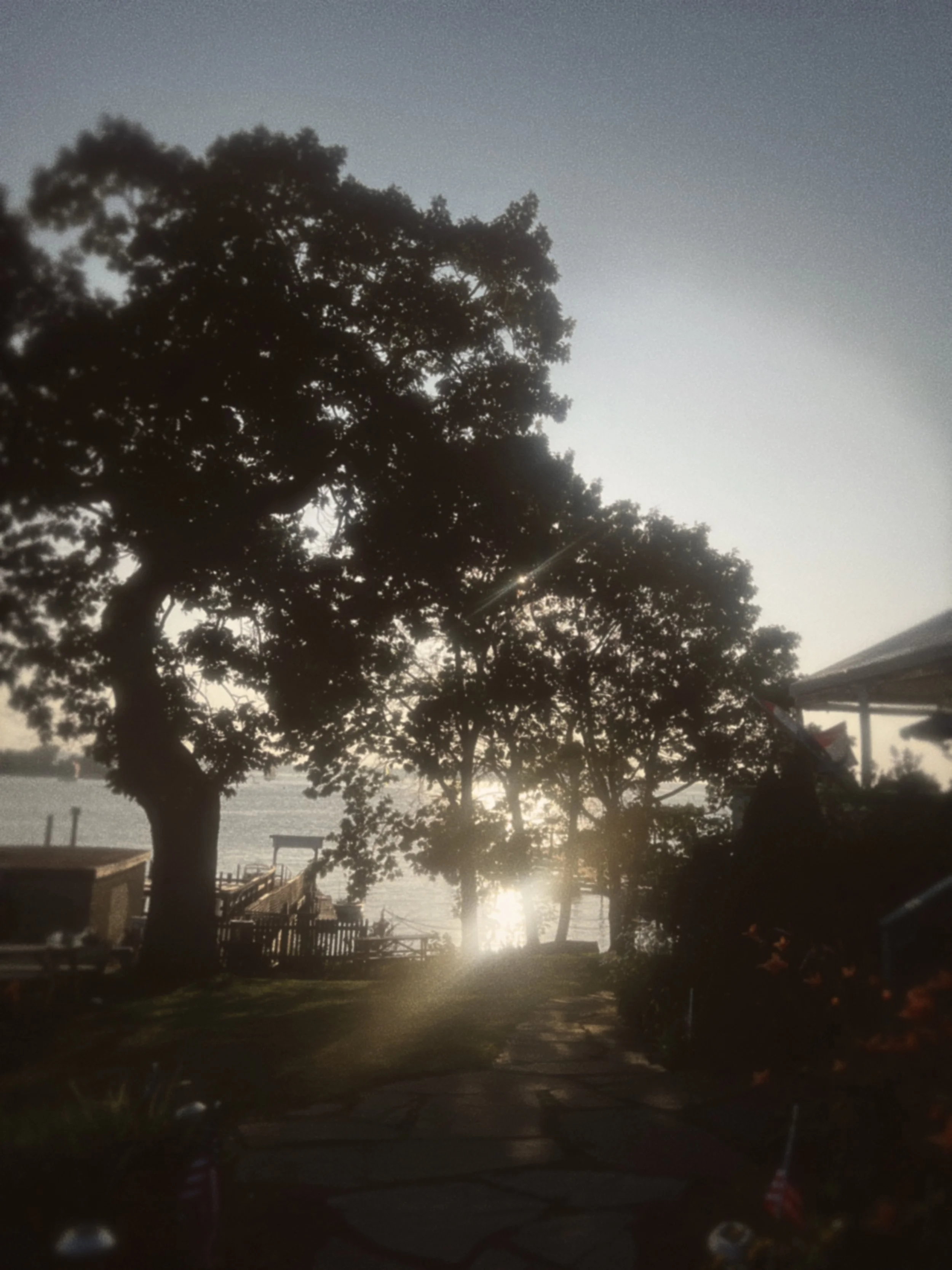 6E1B6878-7757-49DB-AF78-DF92646B295D.JPEG