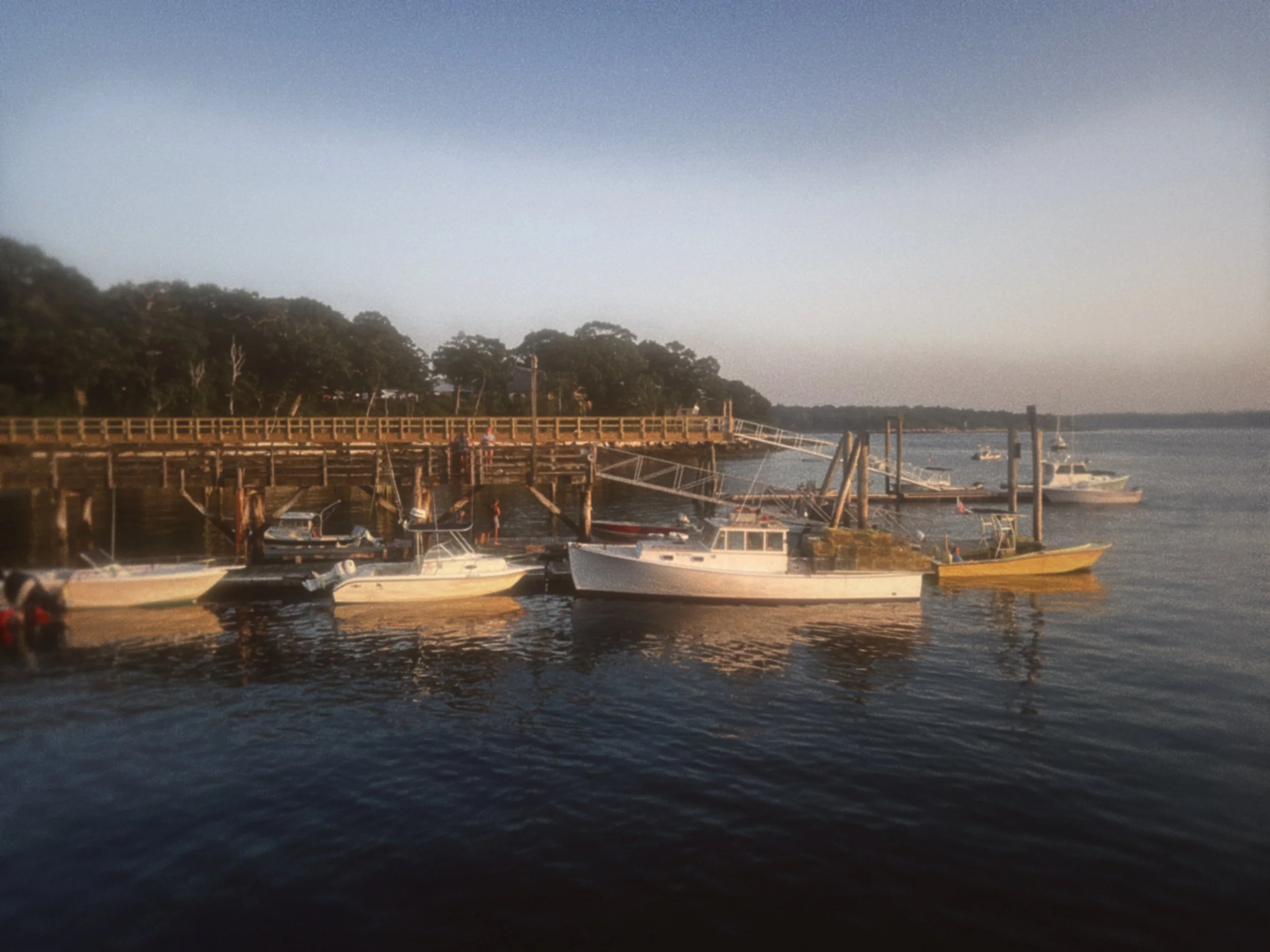 F161C3B1-6B6E-4582-AFBF-3DE23D52B49B.JPEG
