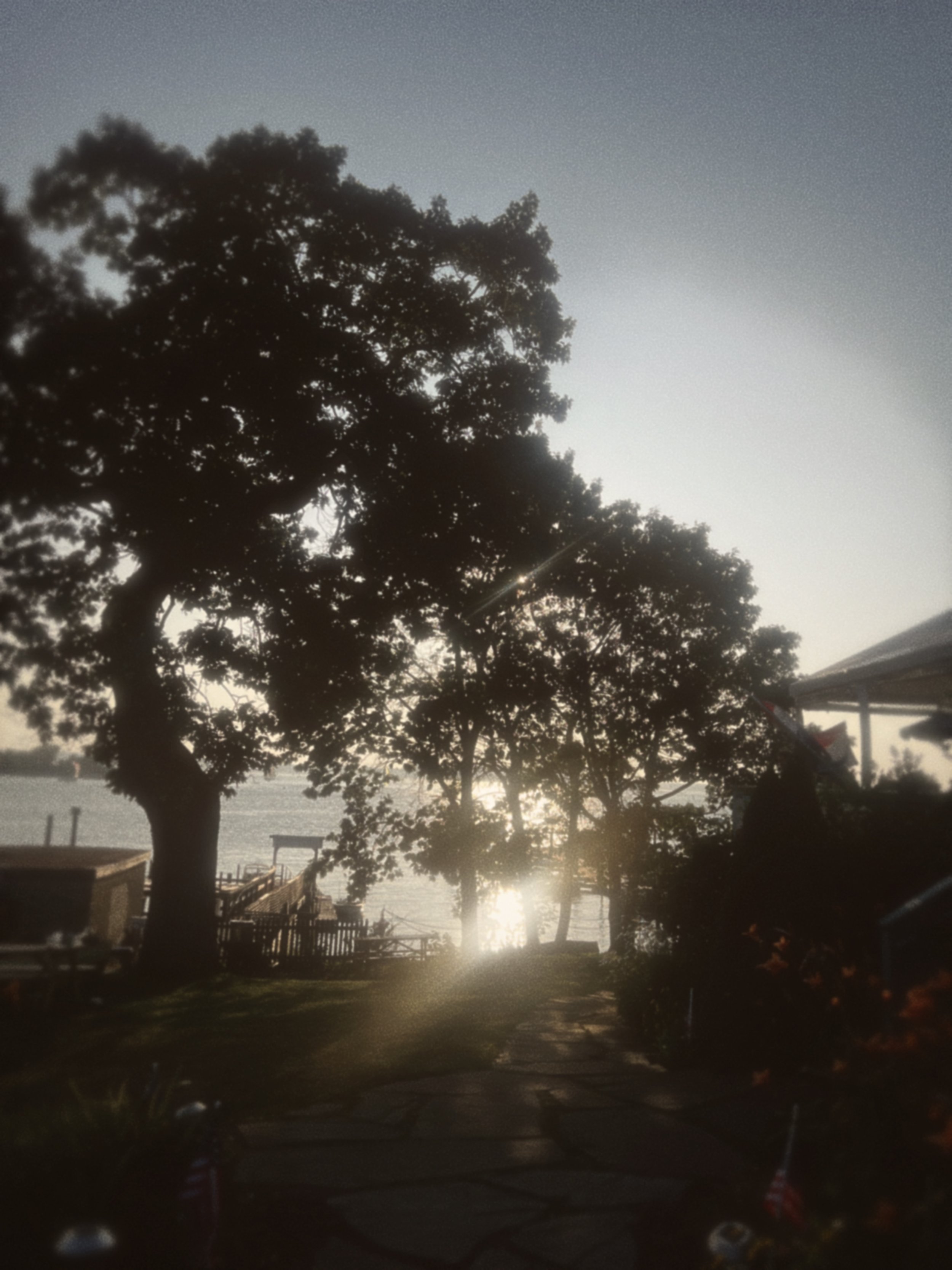 6E1B6878-7757-49DB-AF78-DF92646B295D 2.JPEG