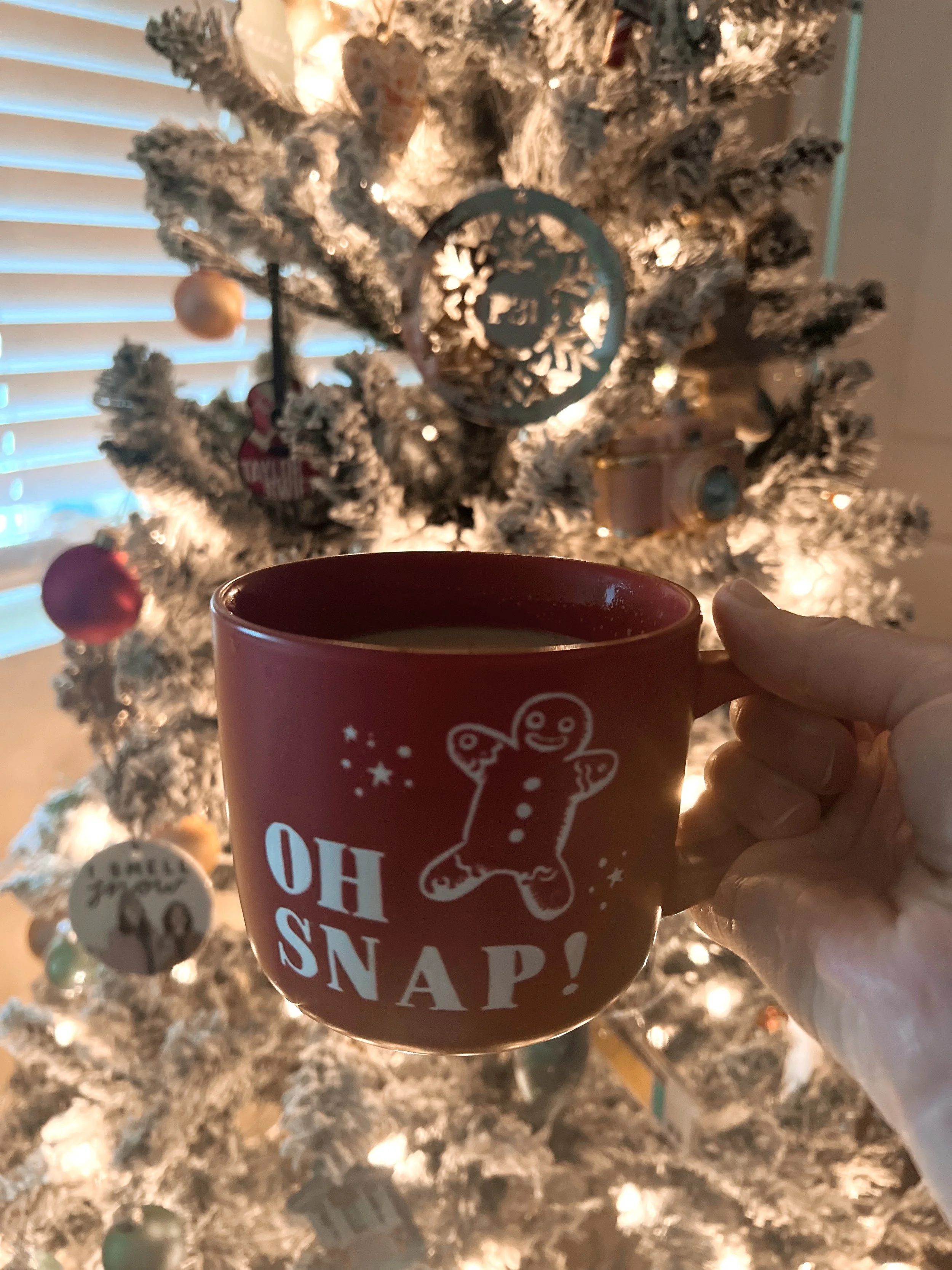Christmas in my apartment 