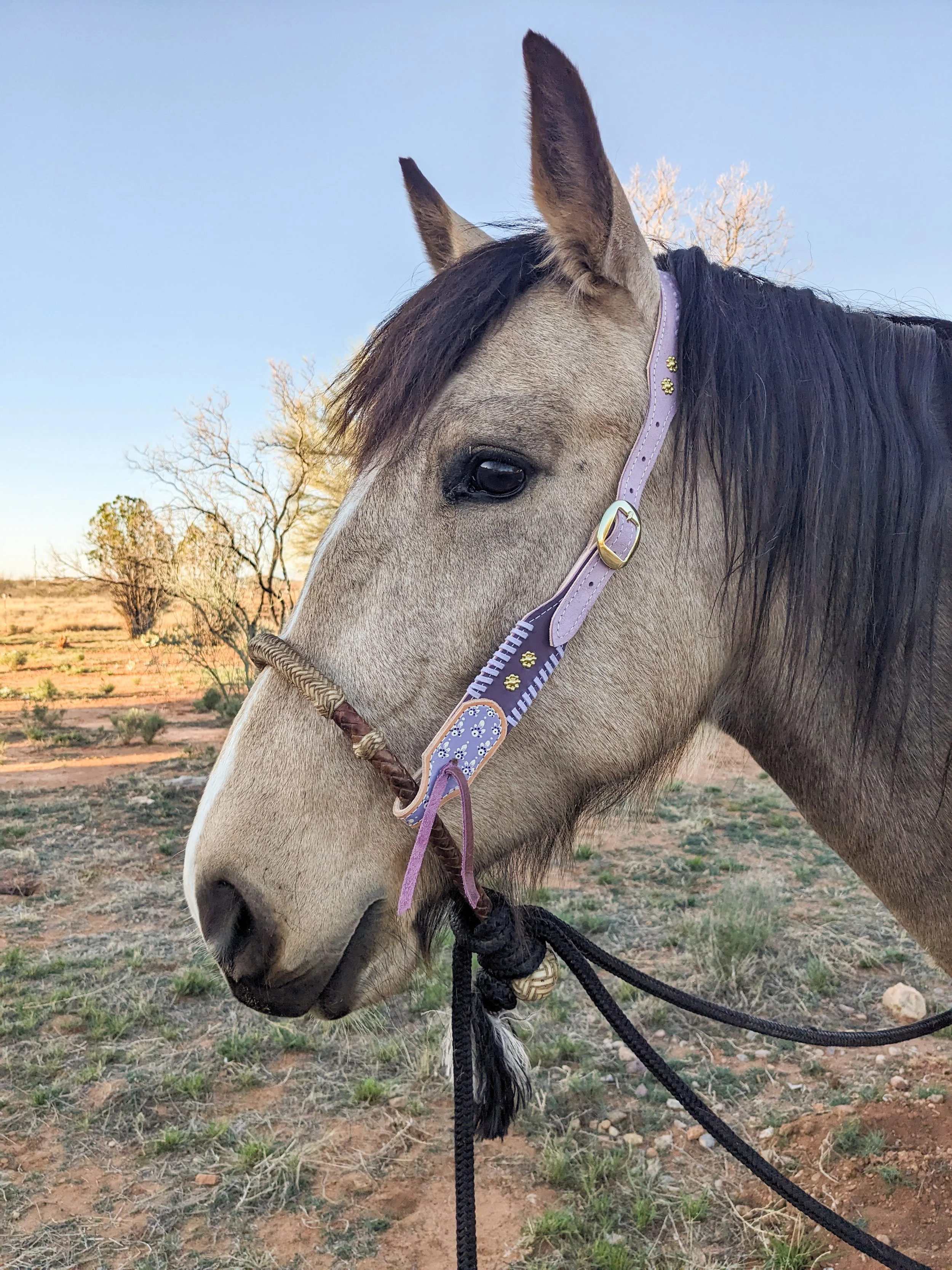 PXL_20260306_143036235 (1).jpg