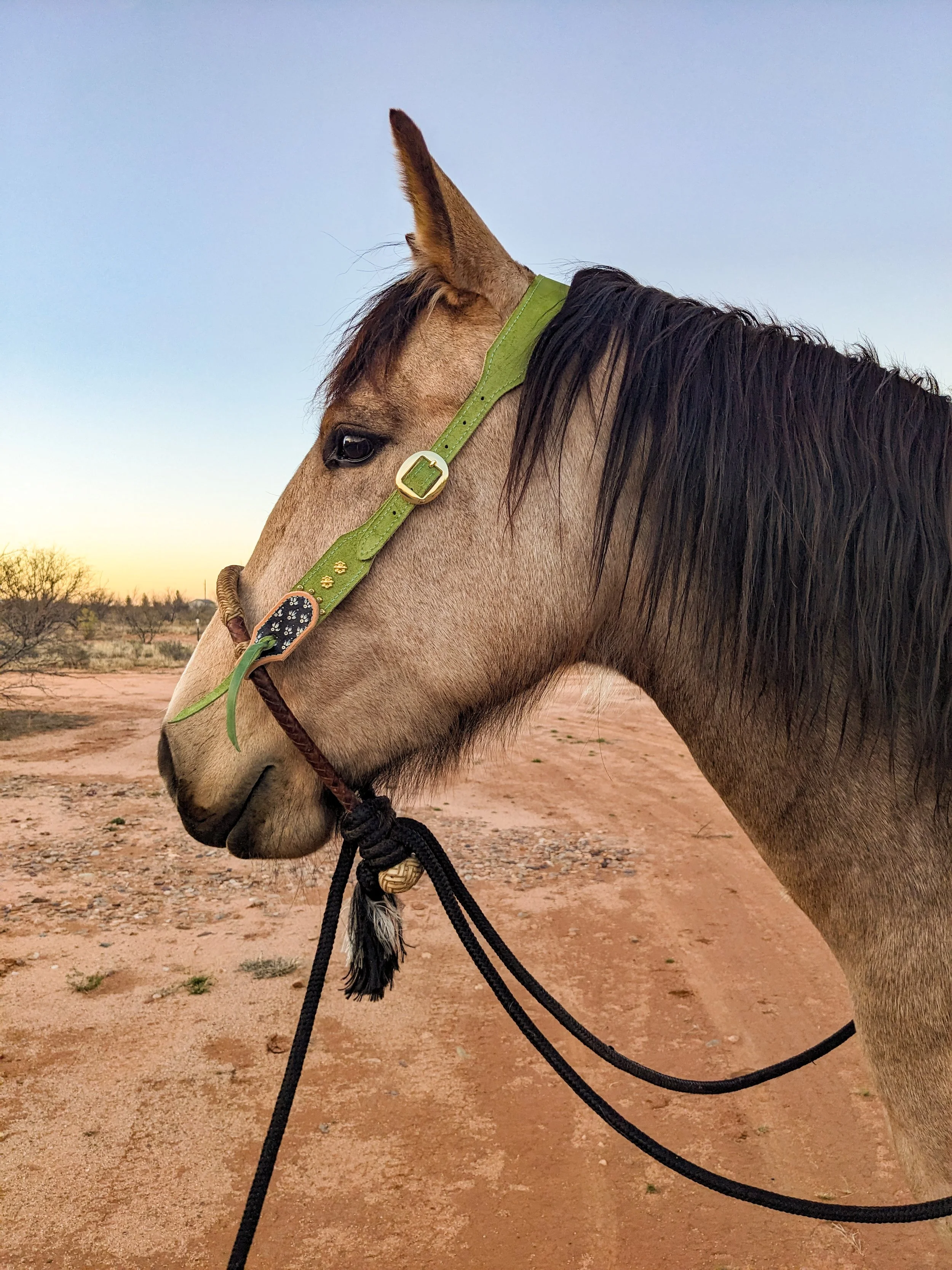 PXL_20260223_010748275 (1) (1).jpg