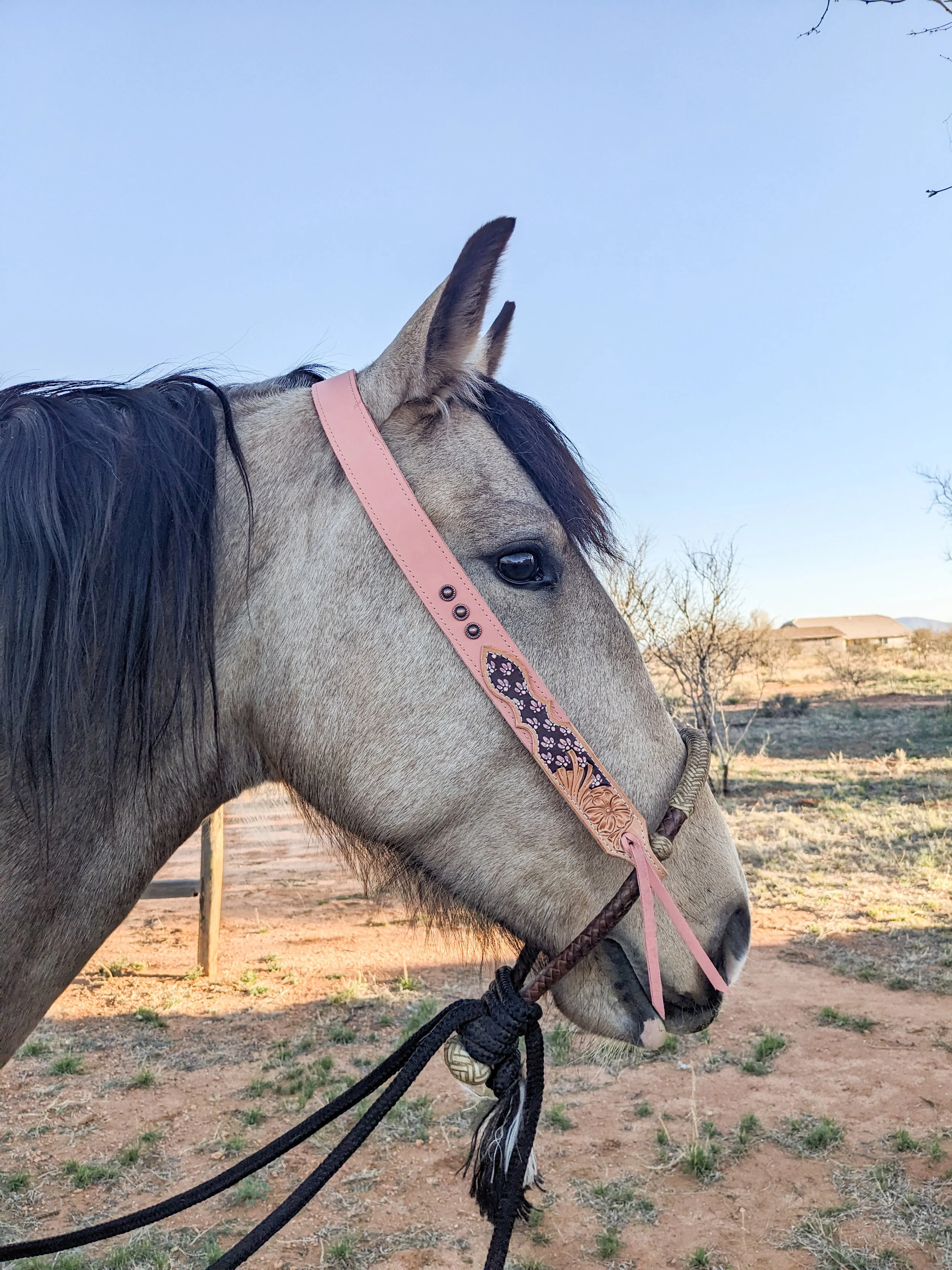 PXL_20260306_143700798 (1).jpg