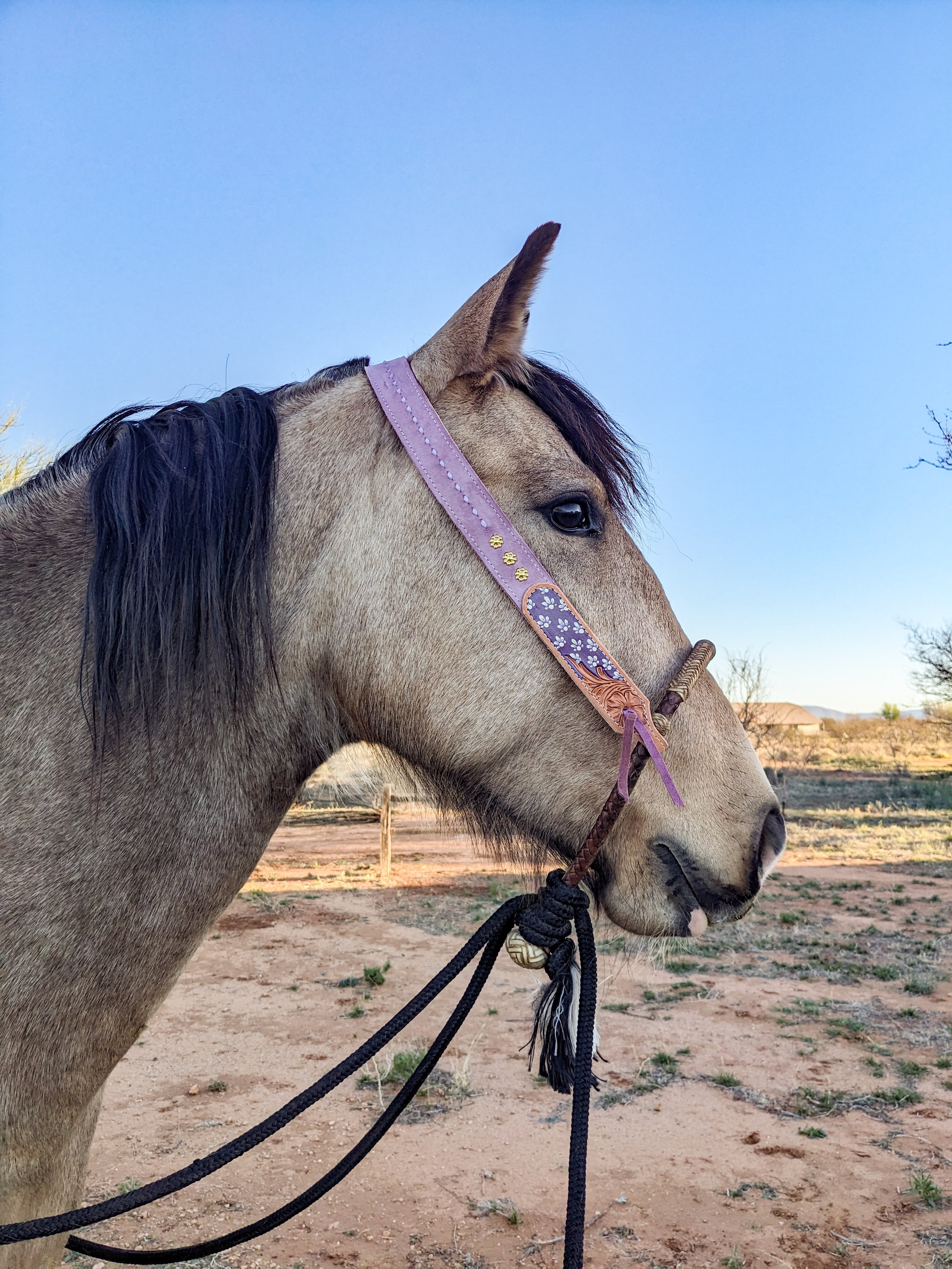 PXL_20260306_142942308 (1).jpg