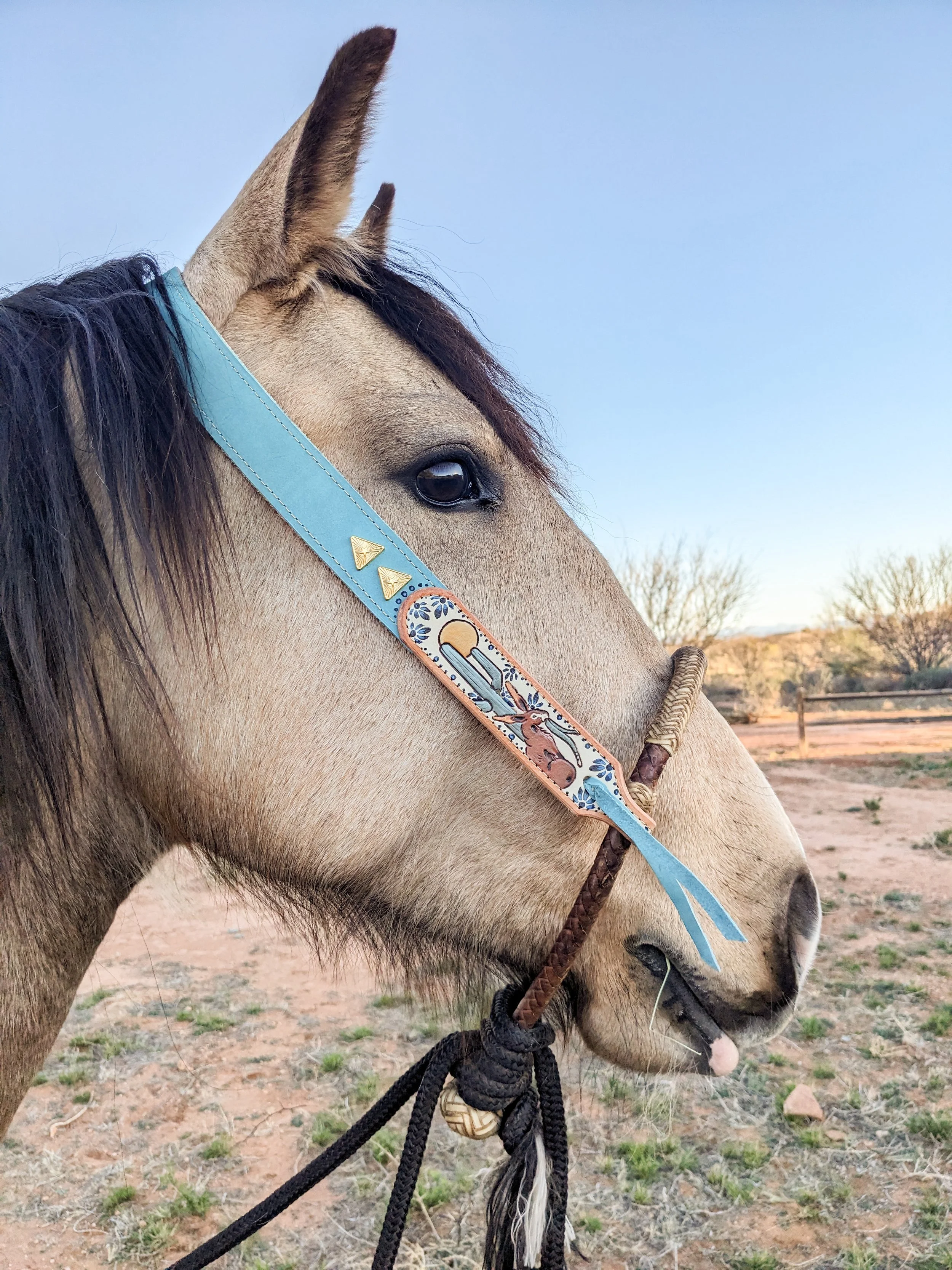 PXL_20260306_142236829 (1).jpg