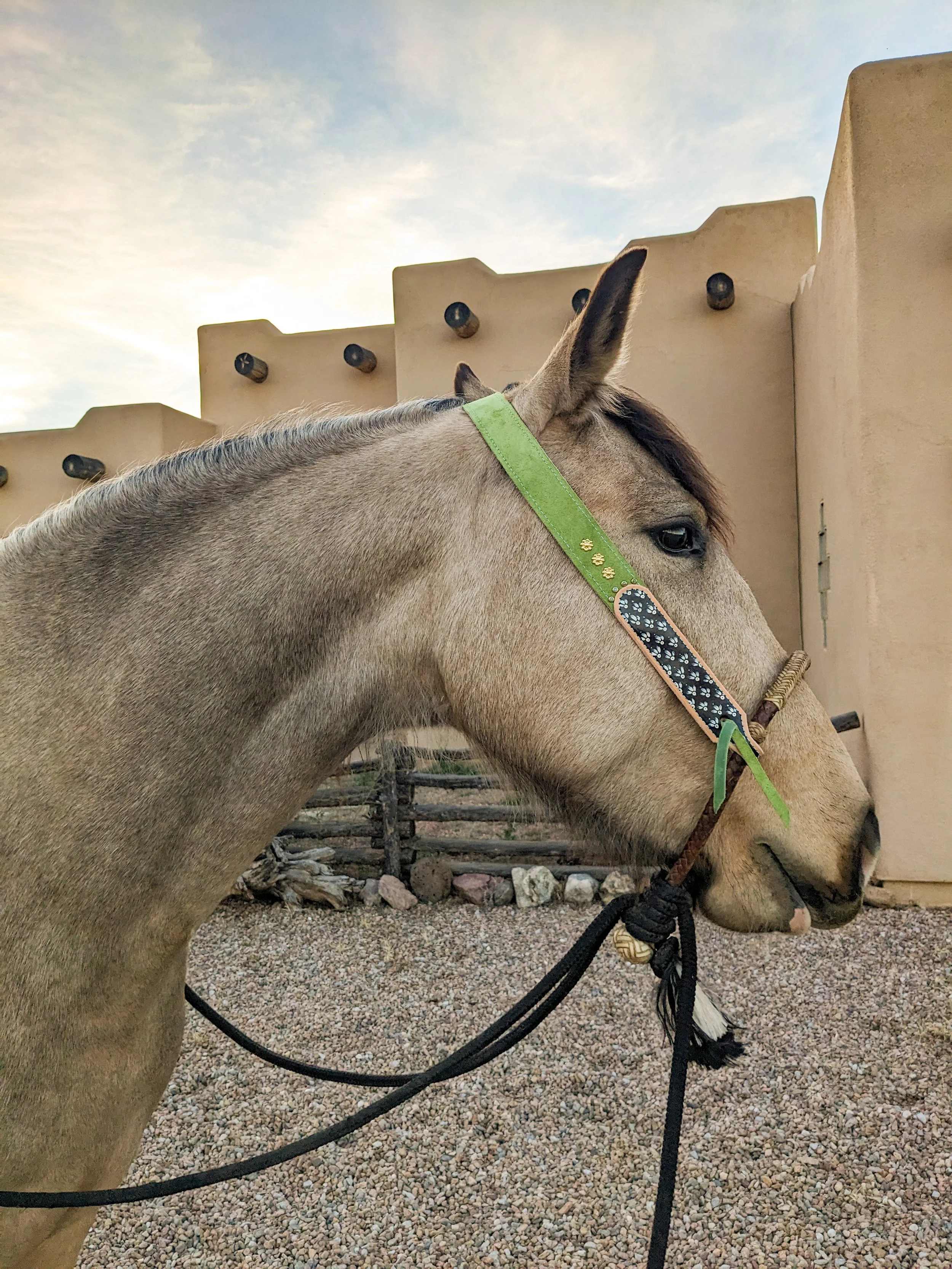 PXL_20260223_010555874 (1).jpg