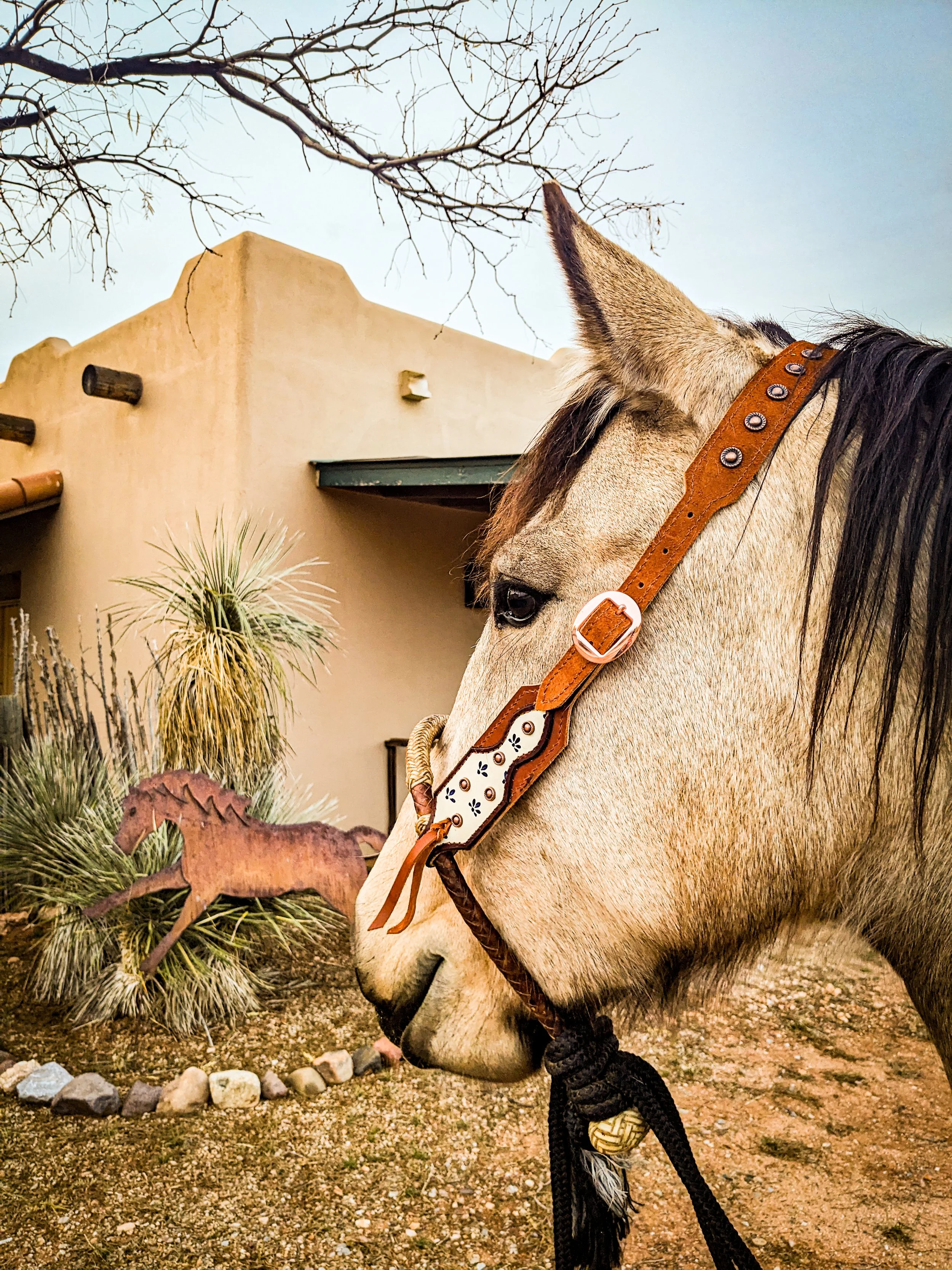 PXL_20260129_004702871 (1).jpg