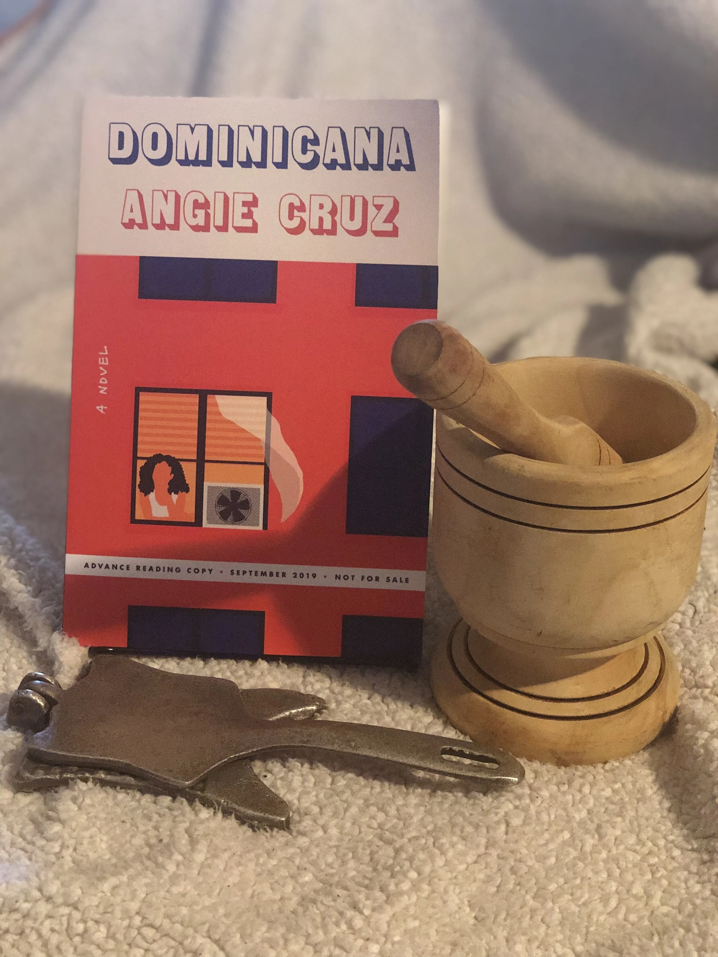 Dominicana book image.jpg