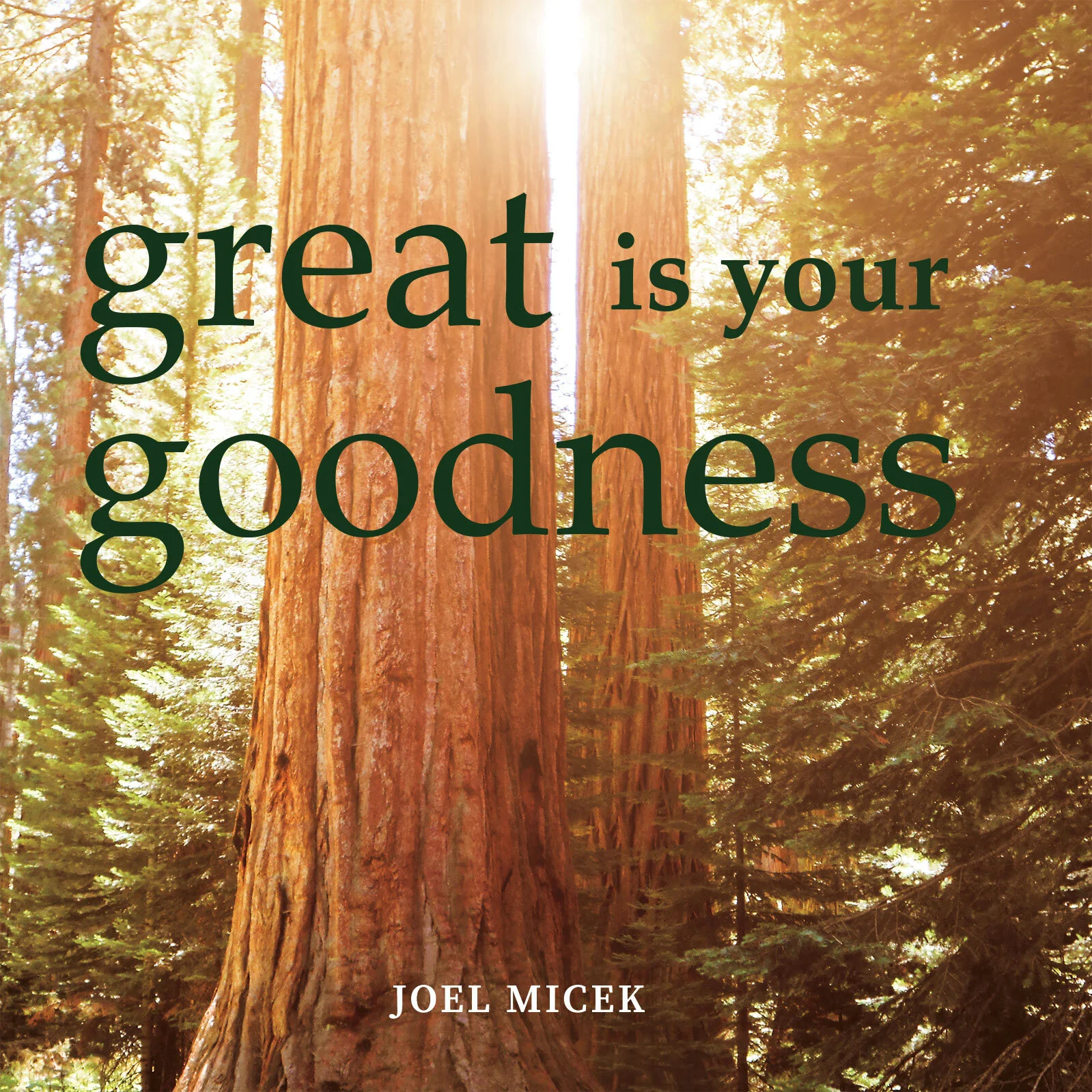 album-cover-for-website.jpg