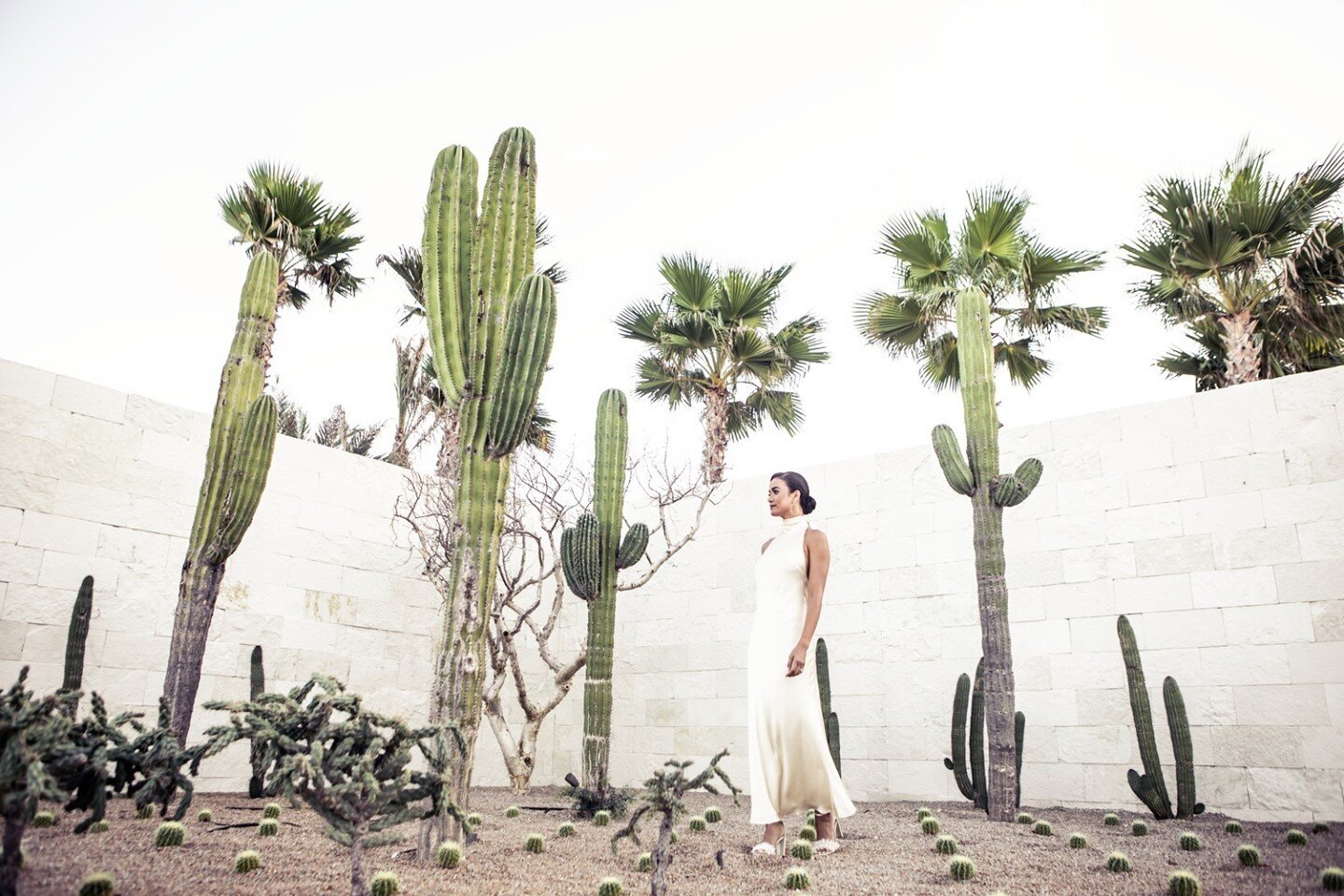 Amidst the cacti, this Arizona bride feels right at home! What a beautiful setting for those who want both the beach and something a bit different, too! #beachyvows⁠
⁠
Visit BeachyVows.com for the best destination wedding ideas and venues! Beachy Vow
