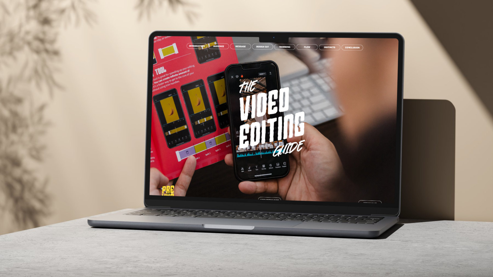 The Essential Beginner’s Guide (Digital)