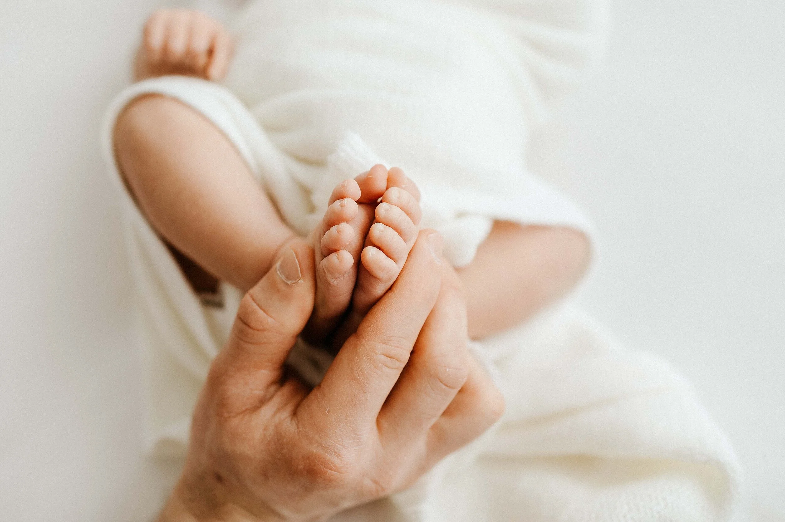 macro_photos_newborns.jpg