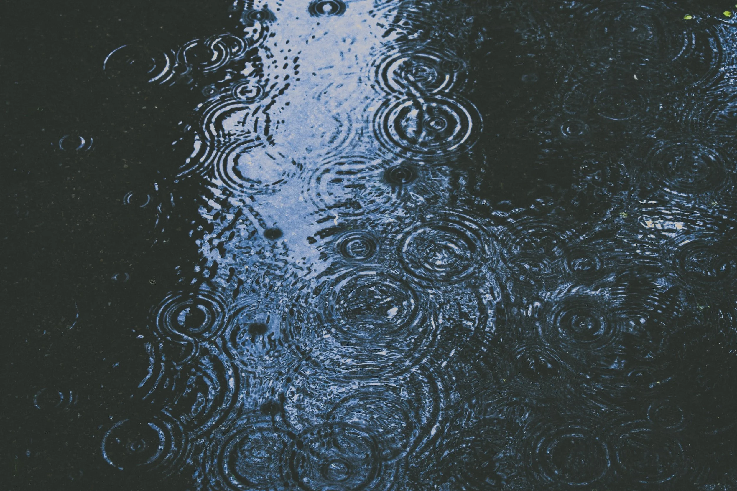  It’s essential to carry out roof maintenance before the rainy season begins so that it's able to withstand such unforgiving weather conditions. 