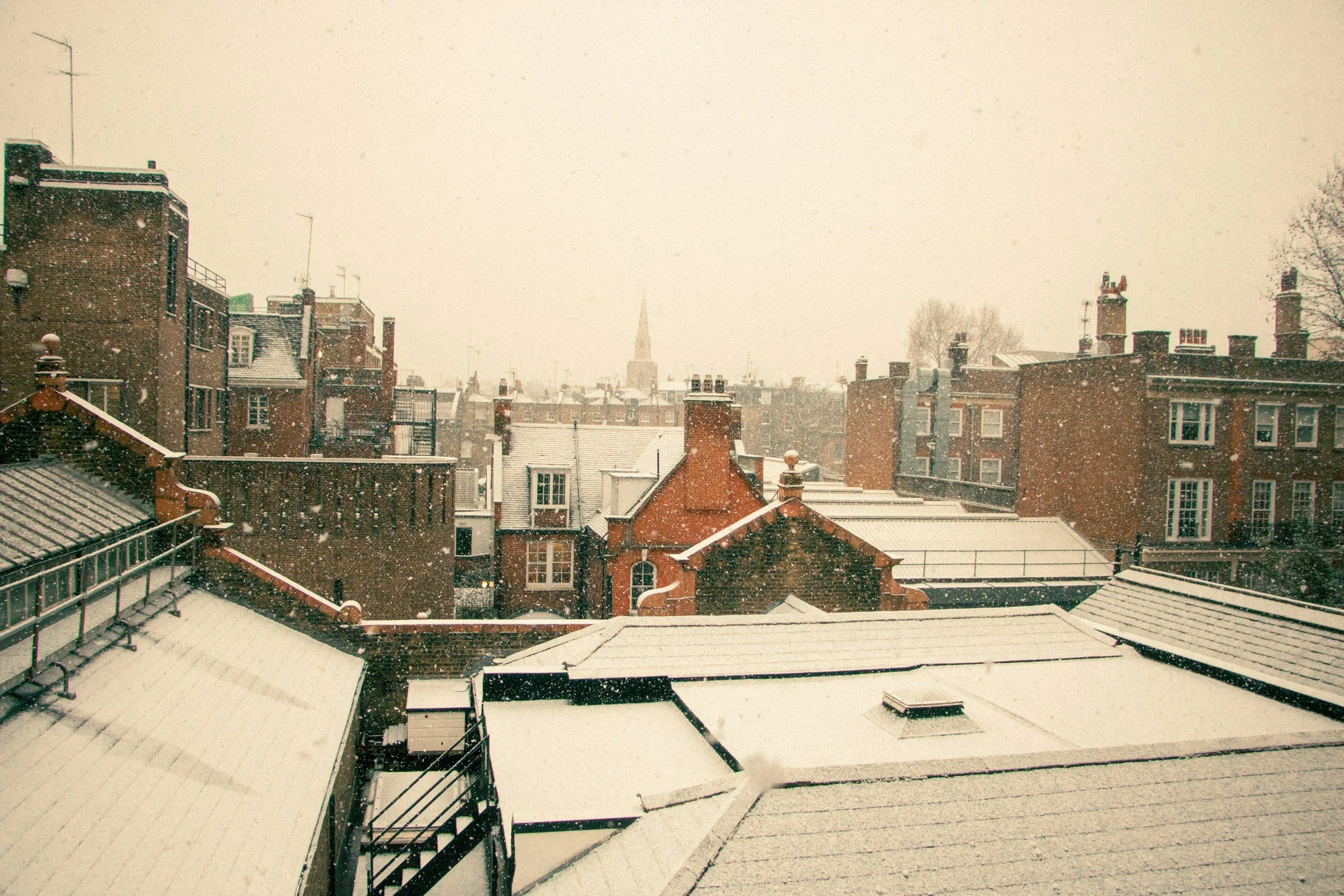  Flat roofs are quick to install, cost-effective due to reduced labor and material expenses, and installed efficiently by professional roofers with minimal disruption. 