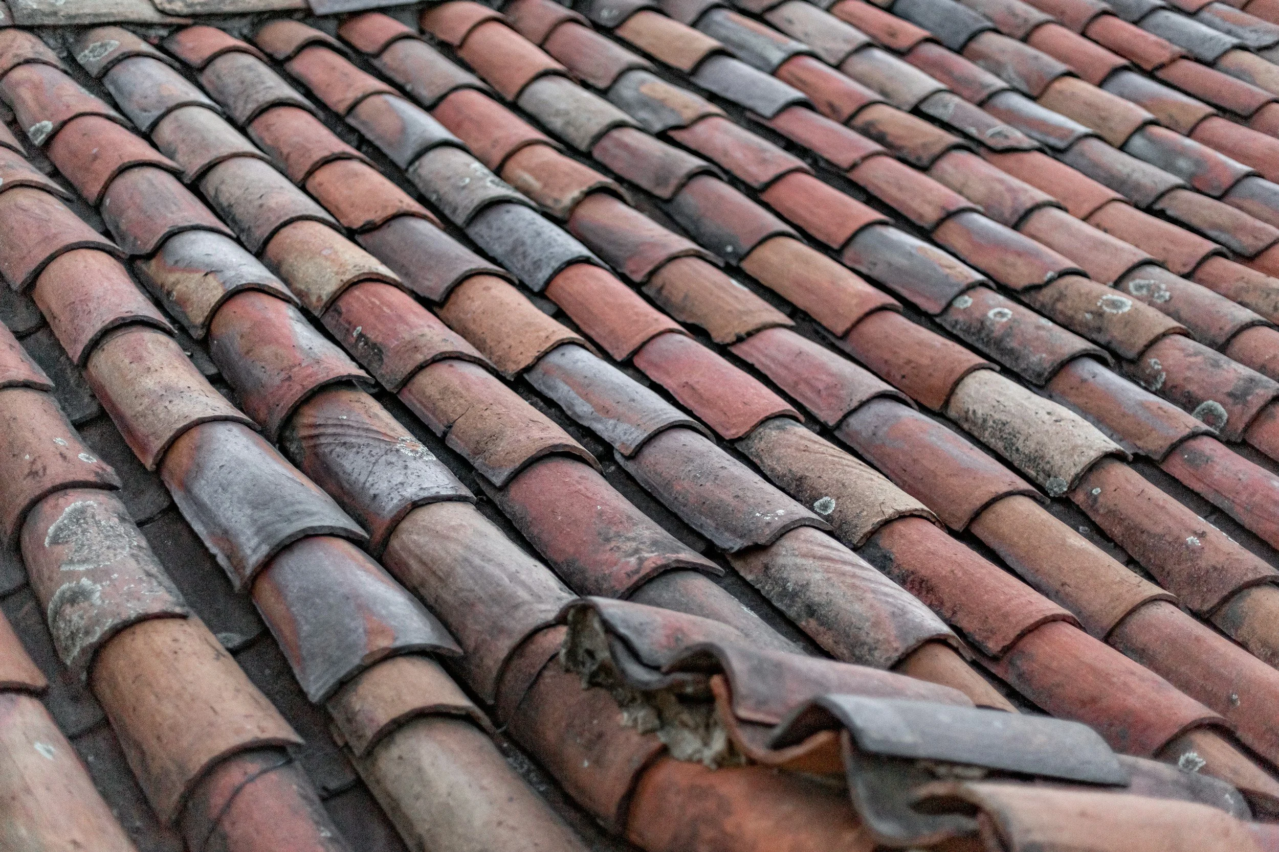 Tile roofs, lasting 50-100 years for clay and 40-75 years for concrete, require regular inspections as they age. Professional assessment helps determine when replacement is necessary.