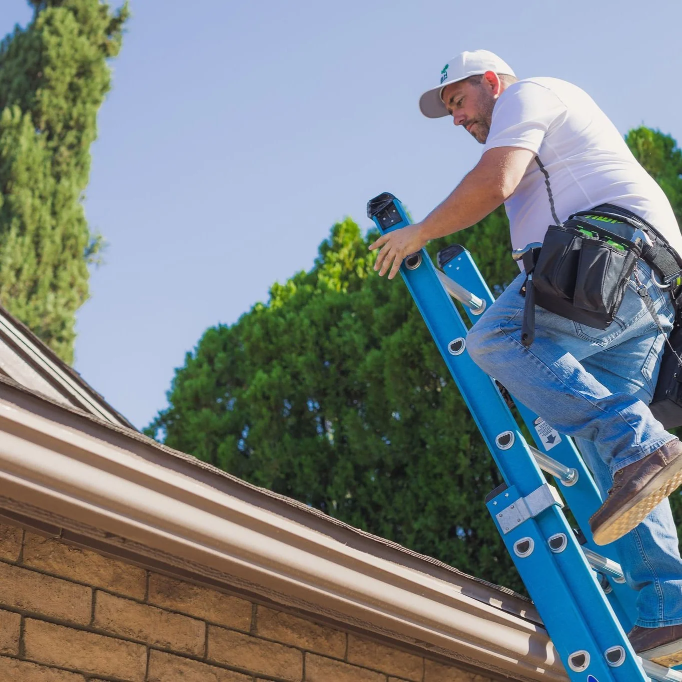  Roof coatings create protective barriers against environmental elements.  