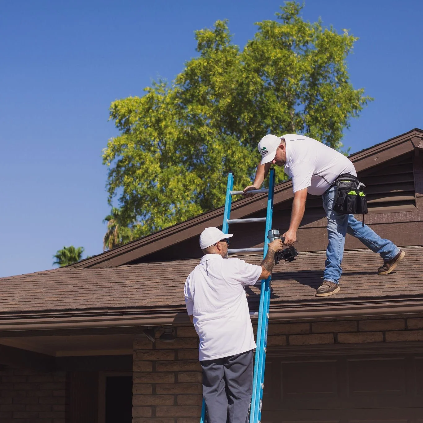  Early detection and swift action regarding roof leaks prevent extensive structural damage and costly repairs. 