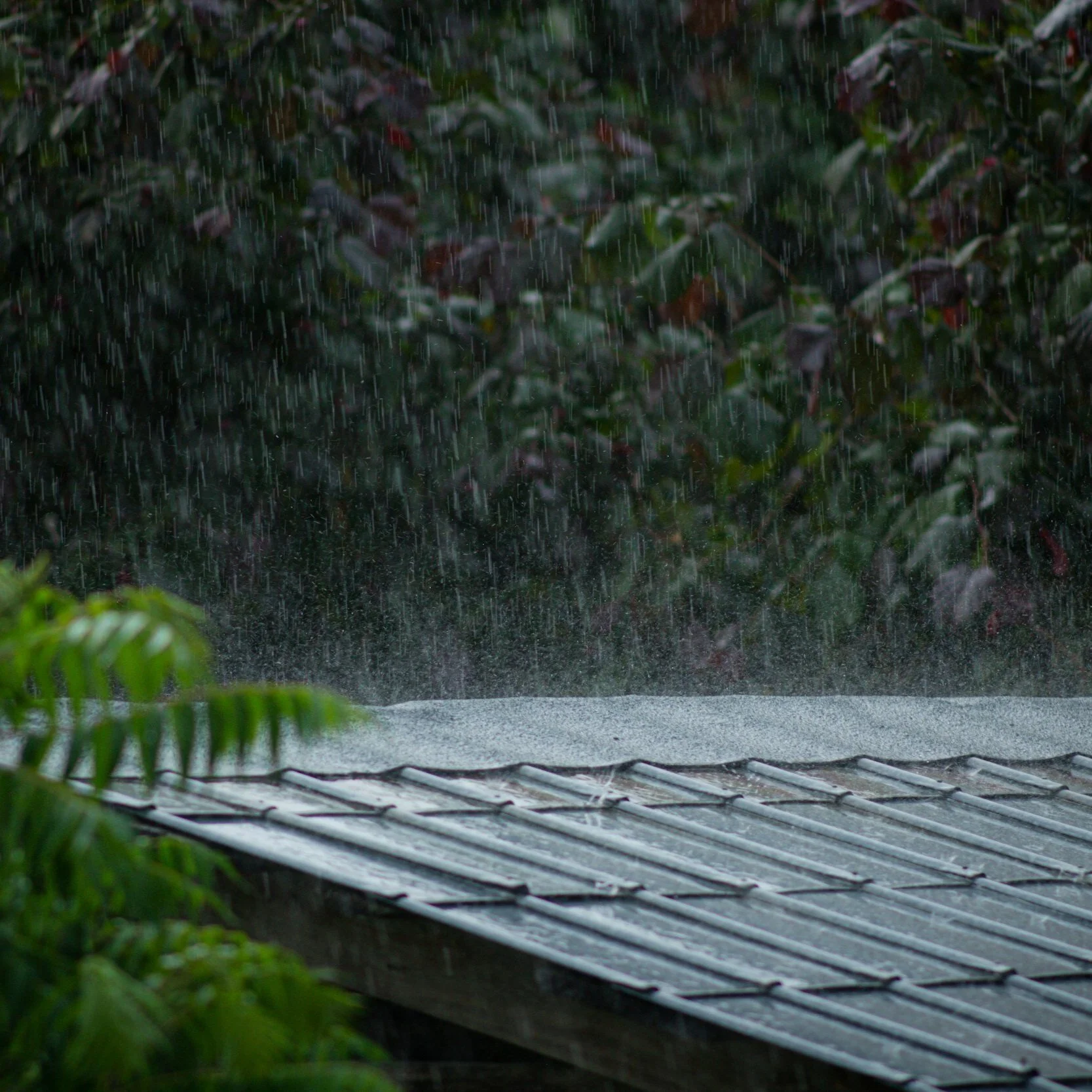 It is essential that the roof is always prepared for any severe weather that comes its way.