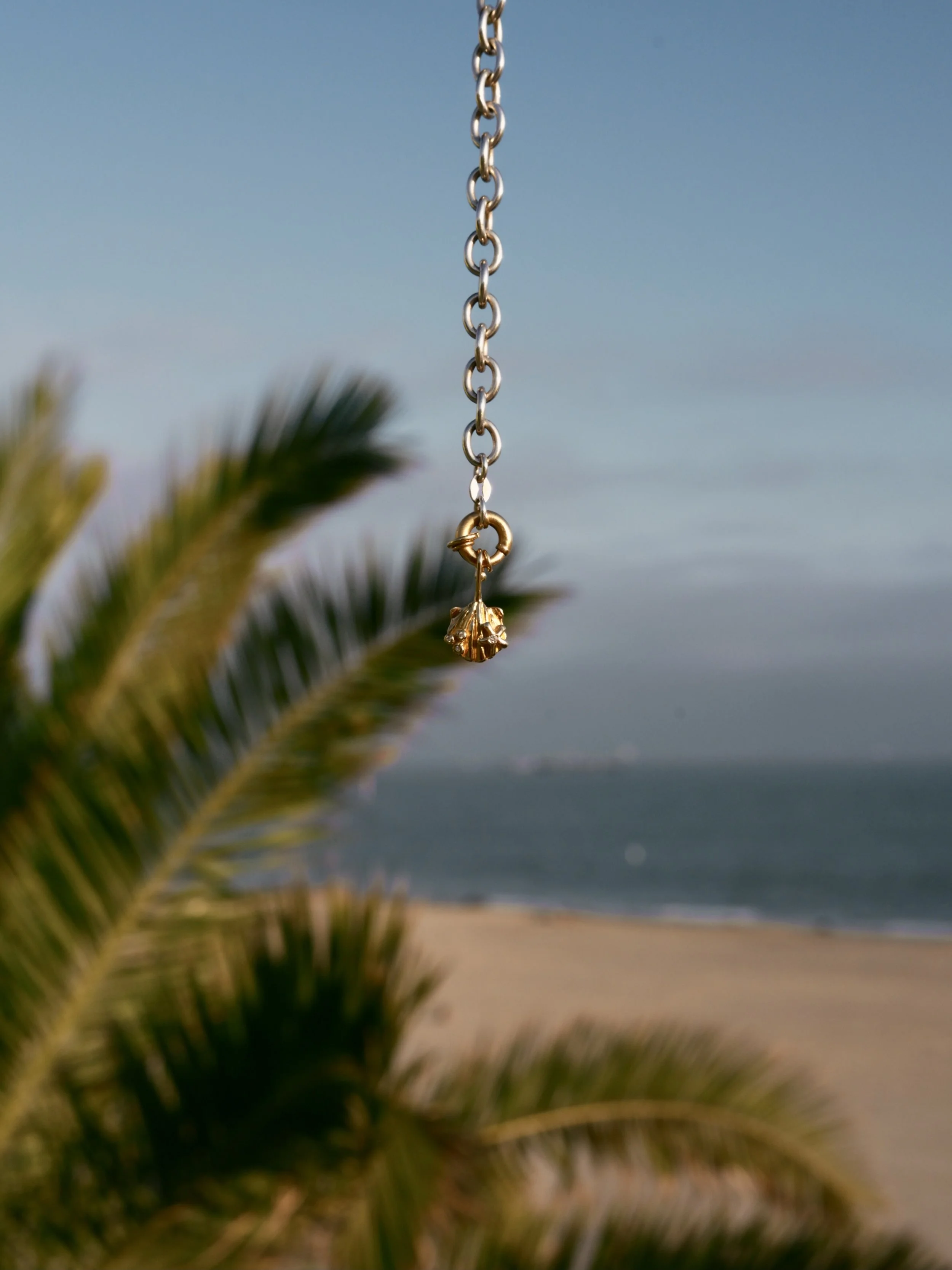 Encrusted mini shell 1.JPG (Copy)