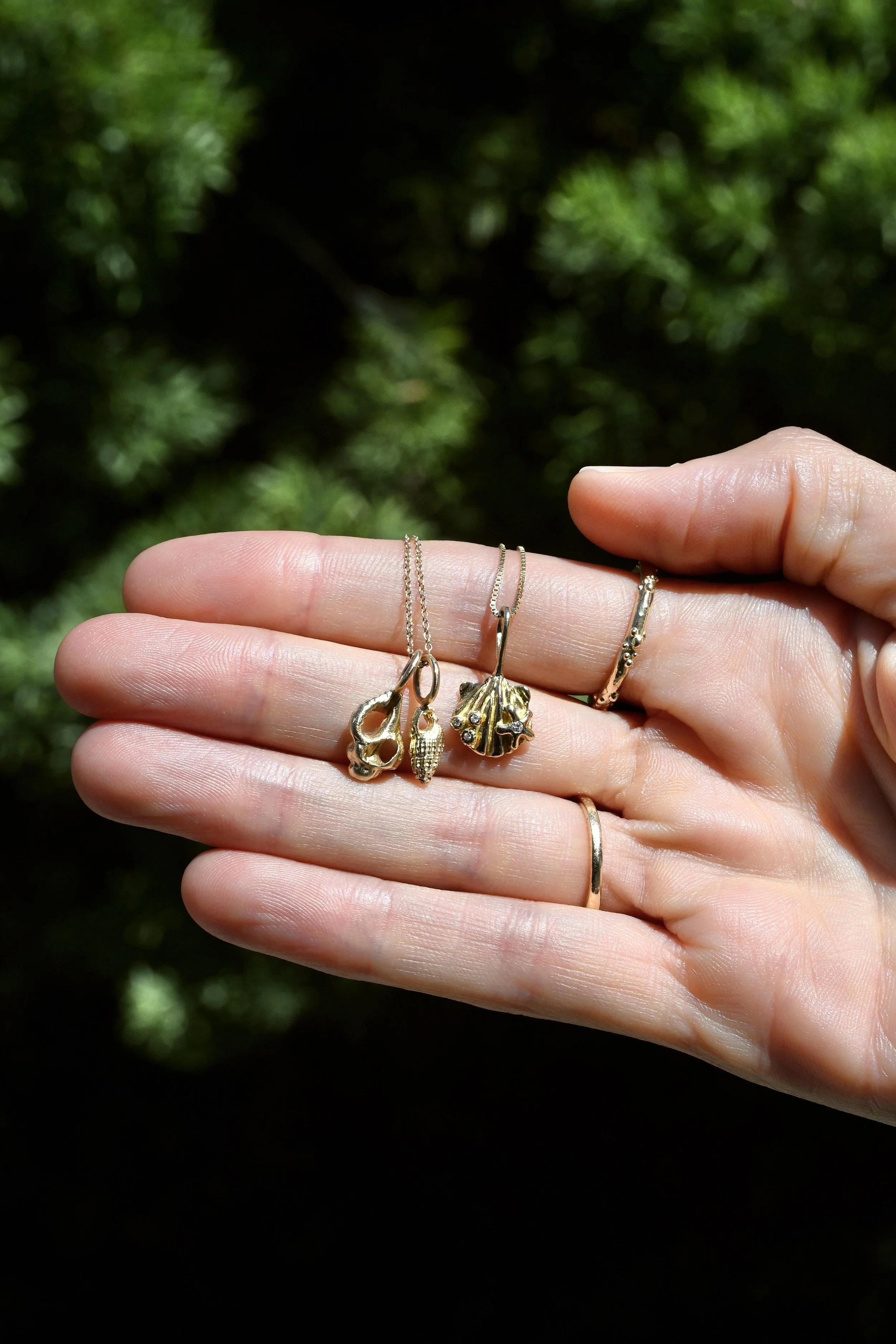 Seashell charms hand.JPG