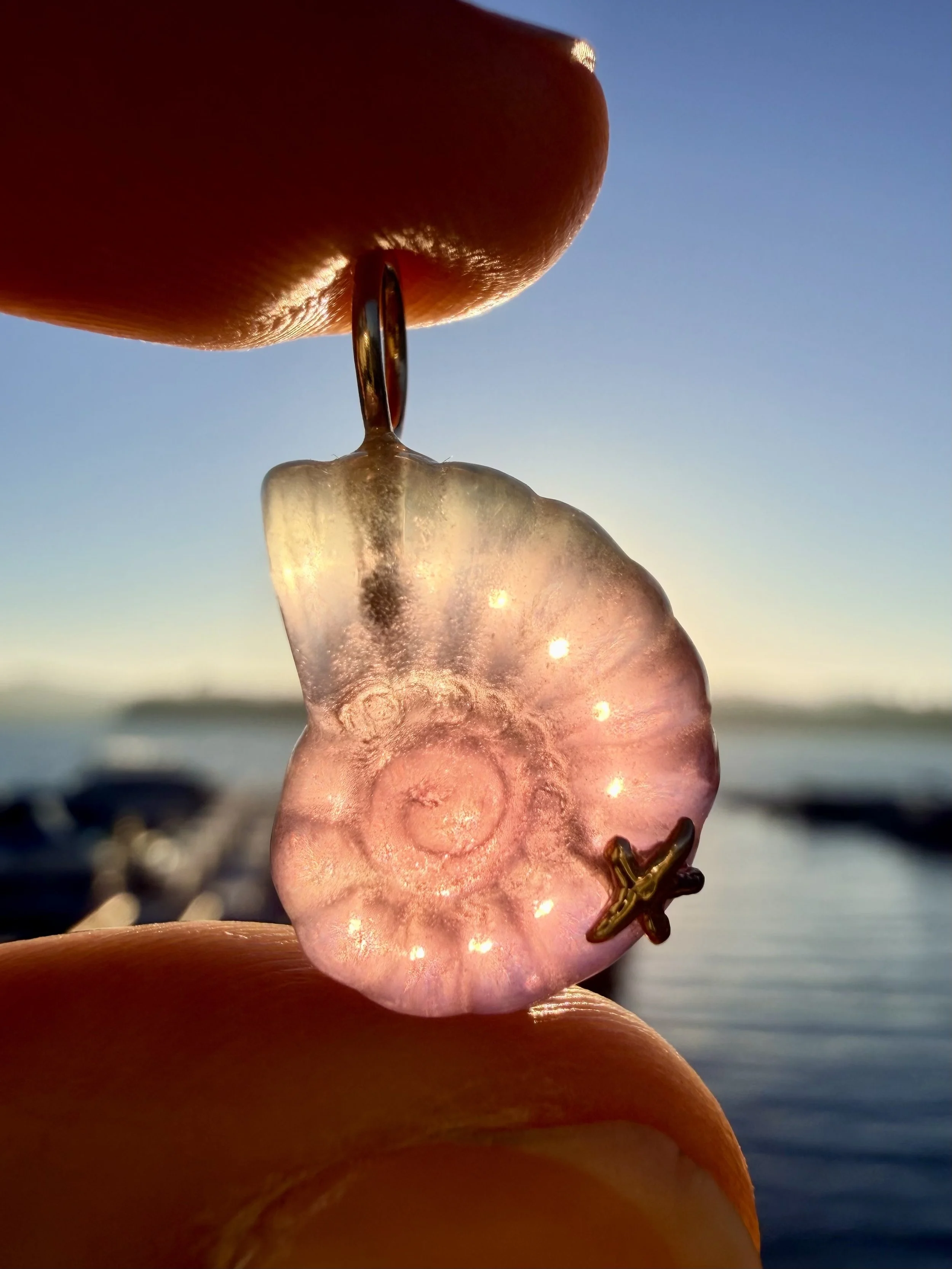 Pink fluorite nautilus charm sun.jpeg