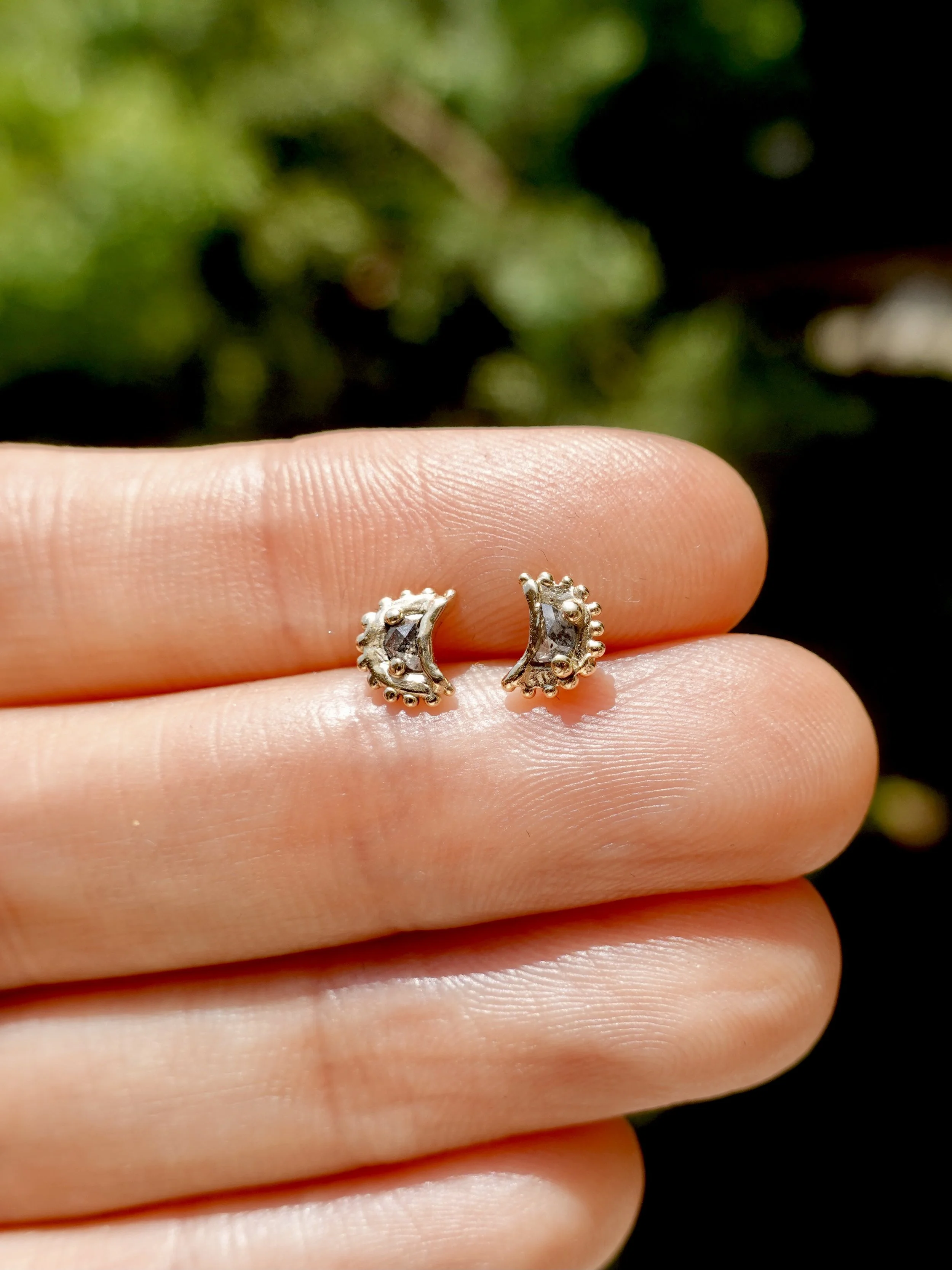 Mini Moonlit (2).JPG