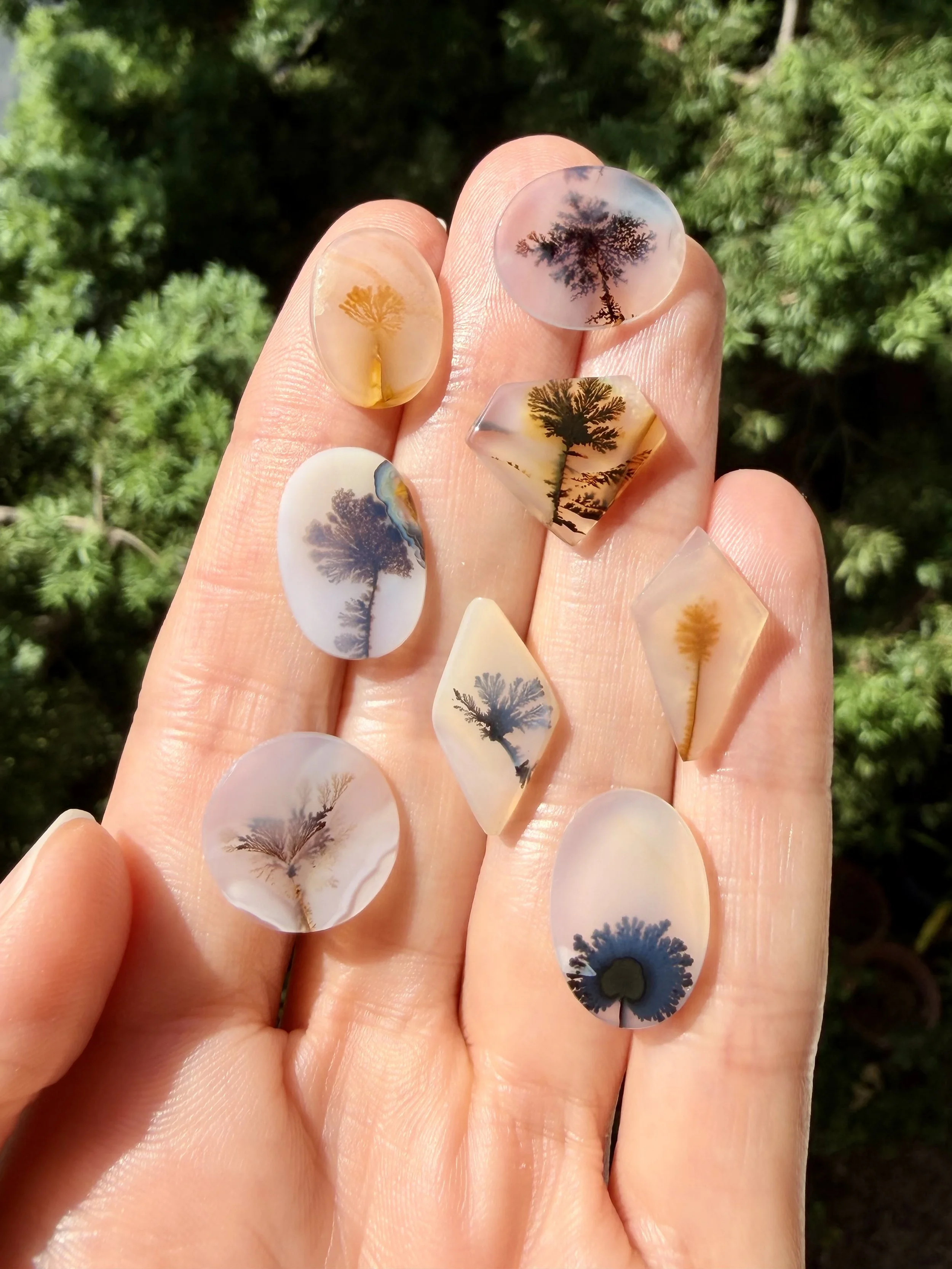 Dendritic agate MEDIUM.jpeg