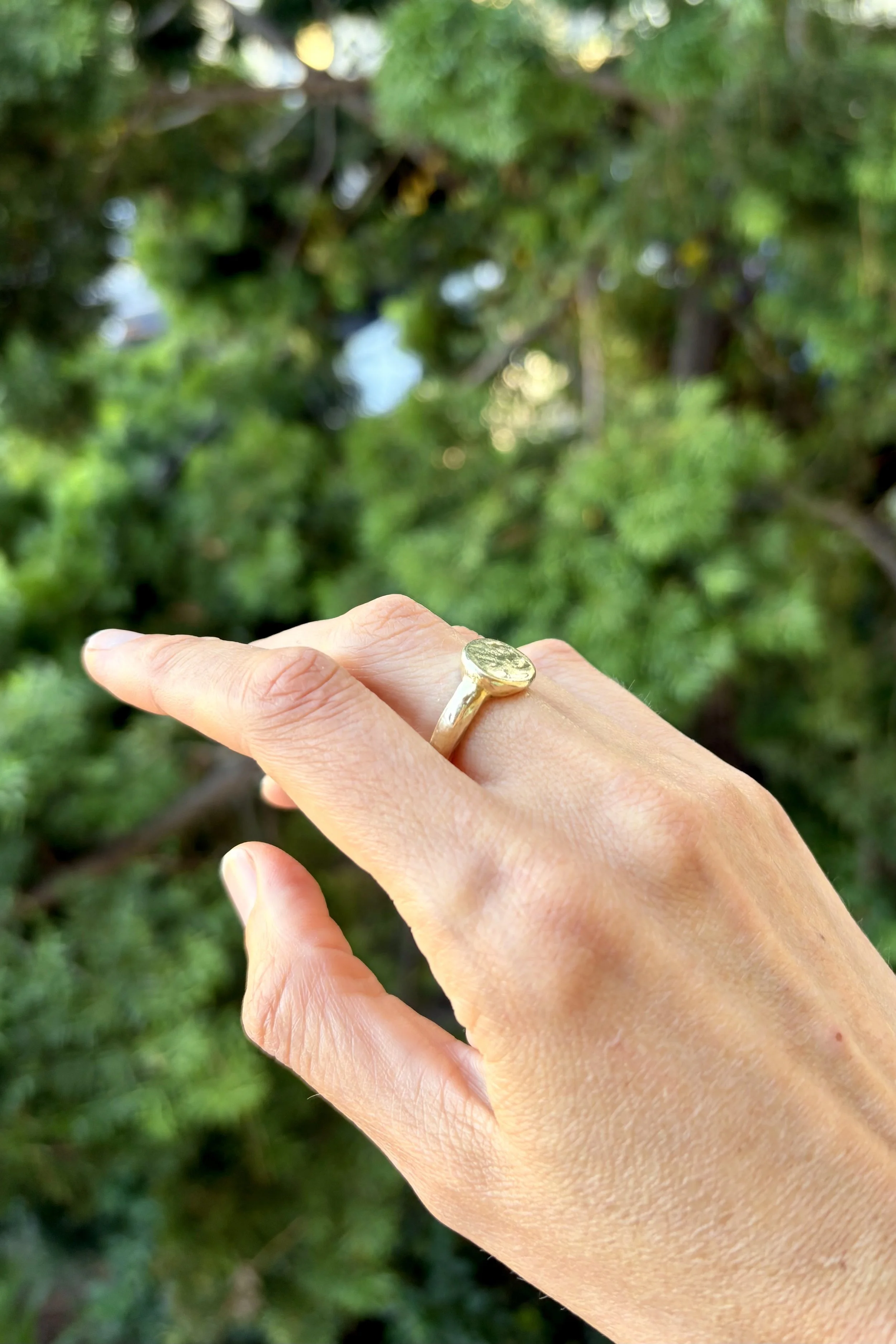 Storm worn signet ring model 1.jpeg