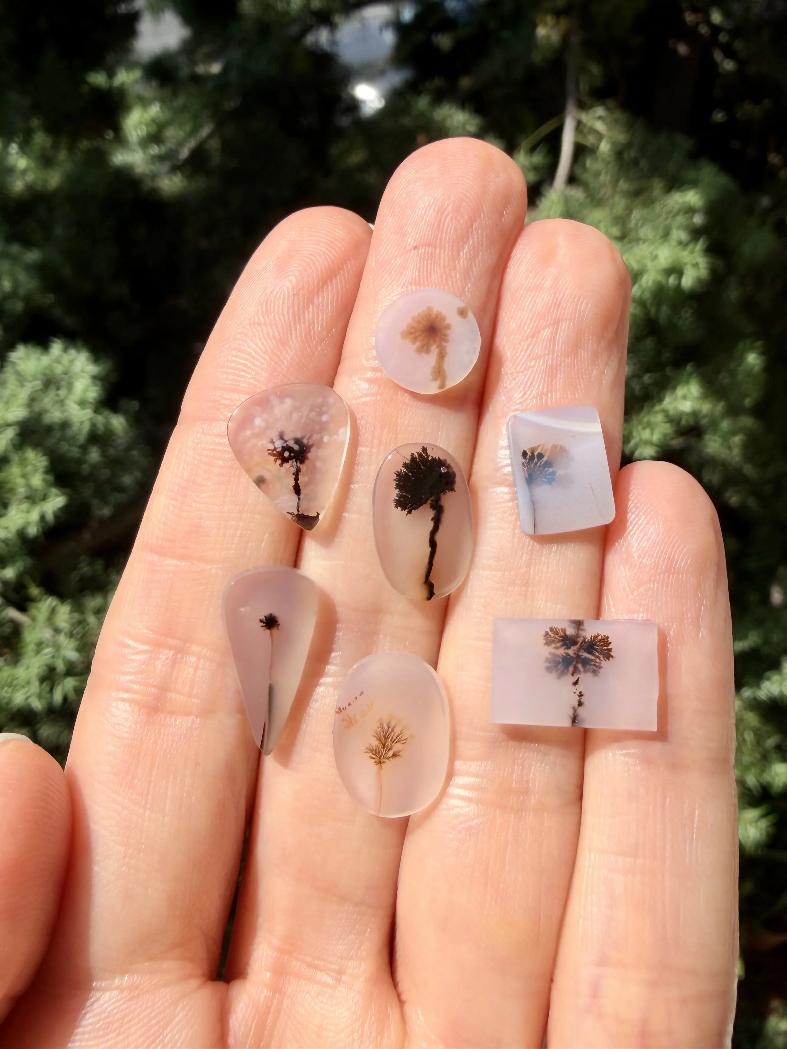 Dendritic agate SMALL.jpeg