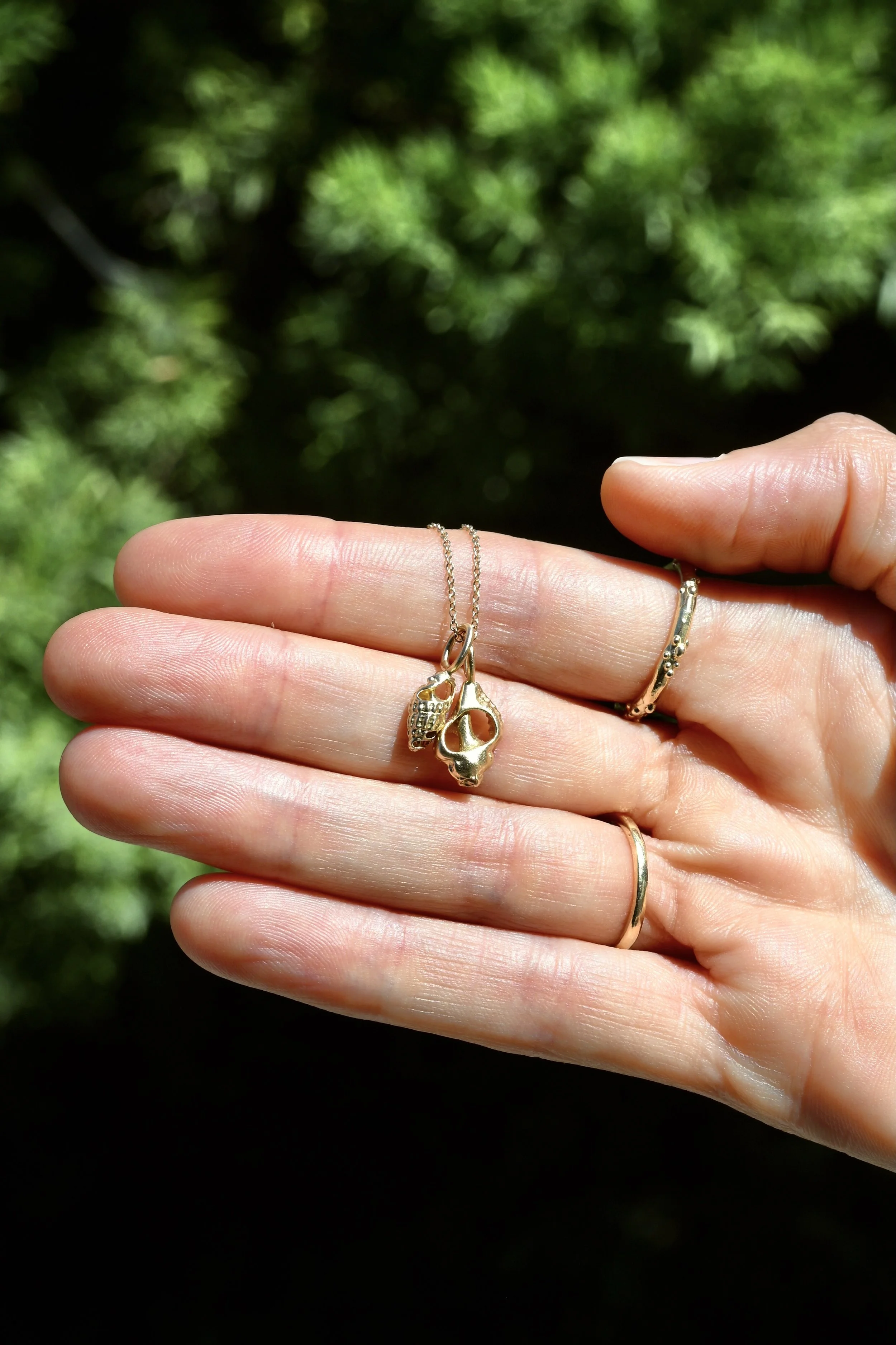 Petite seashells back.JPG