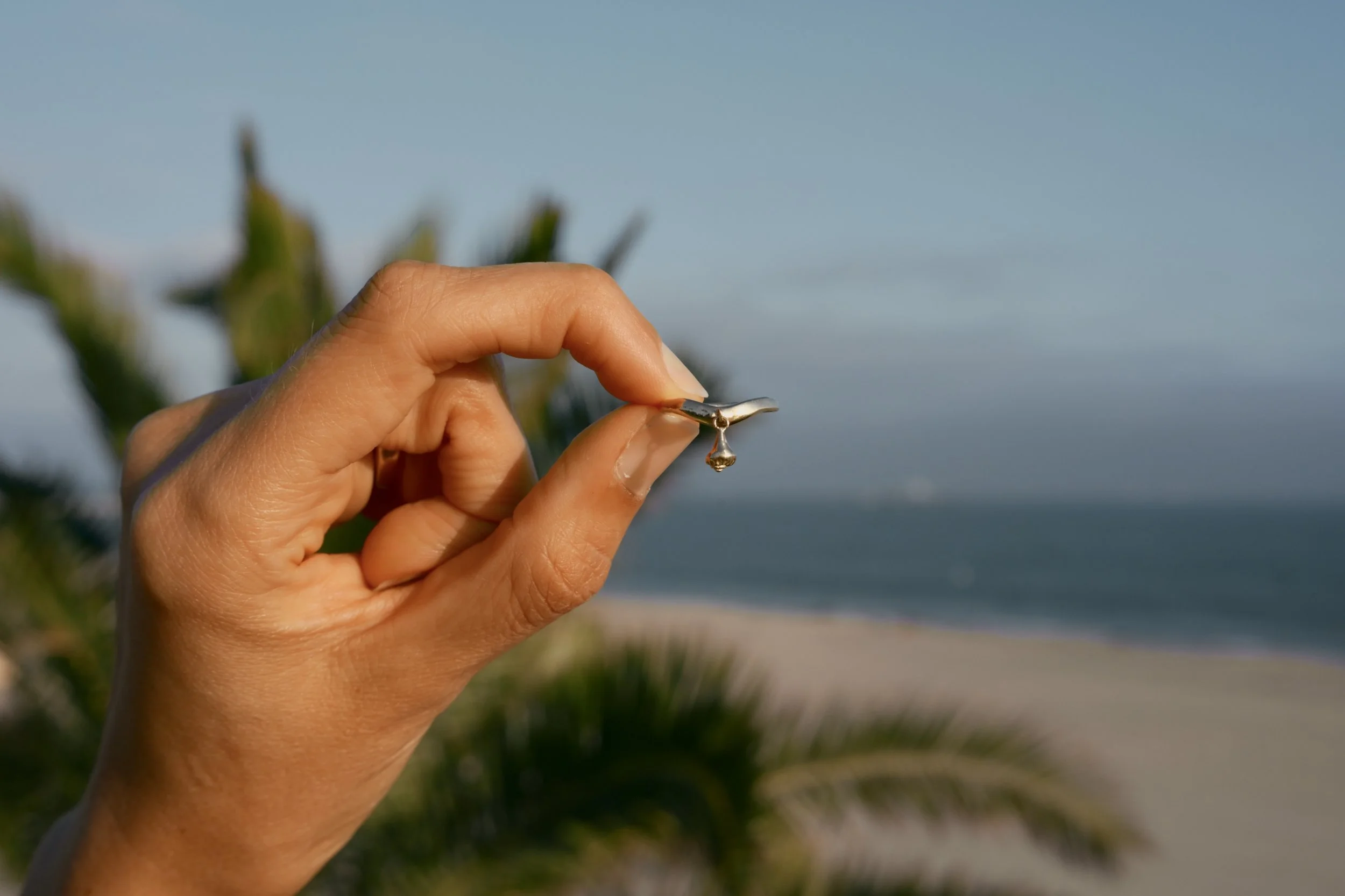 Dangling whelk 2.JPG