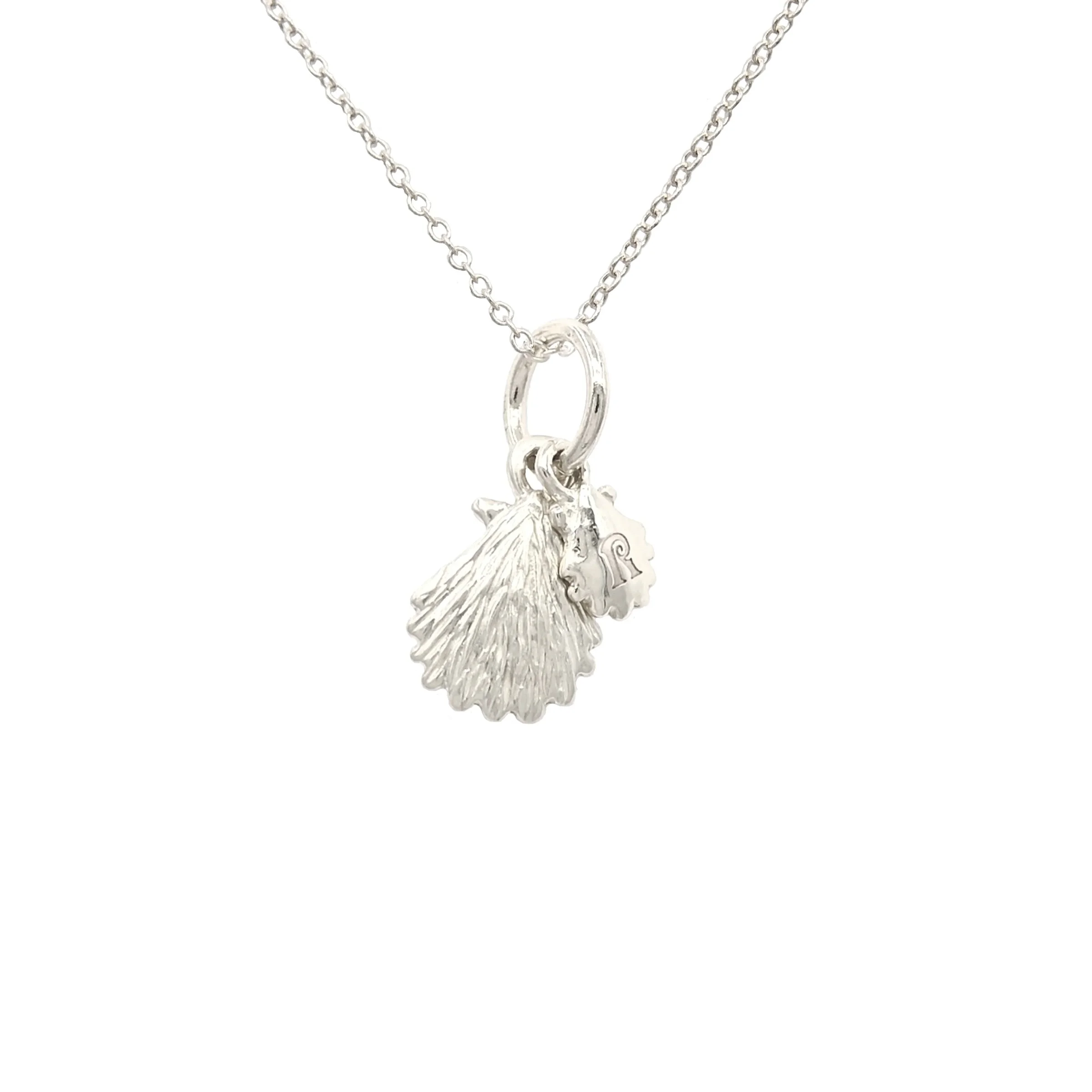 Layered+seashells+2.jpg
