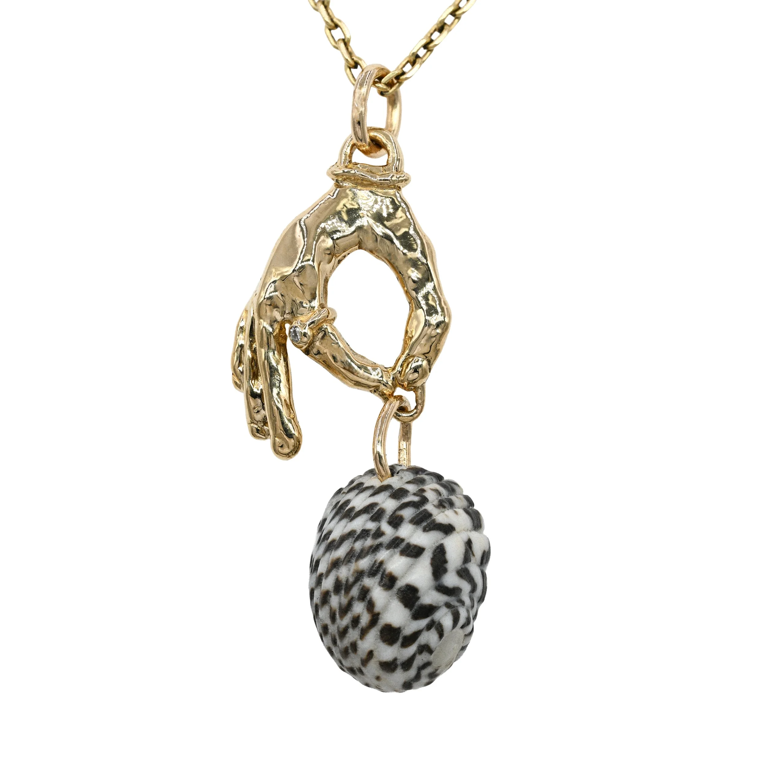 We are the Sea - natural checkered nerite shell