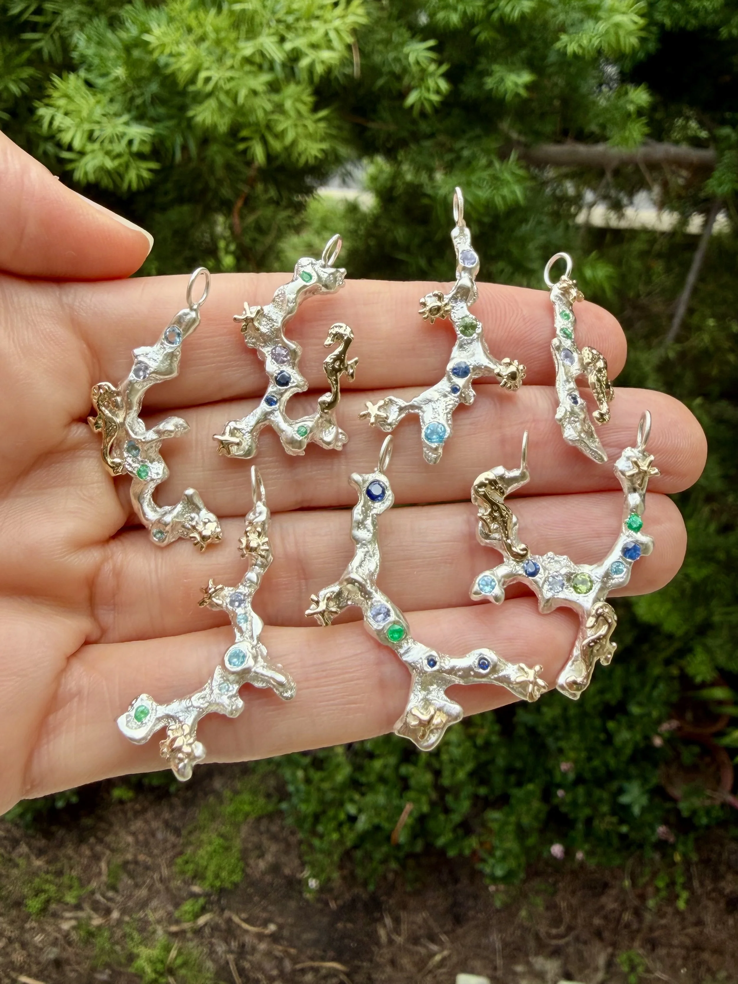 Coral Branch group.jpeg