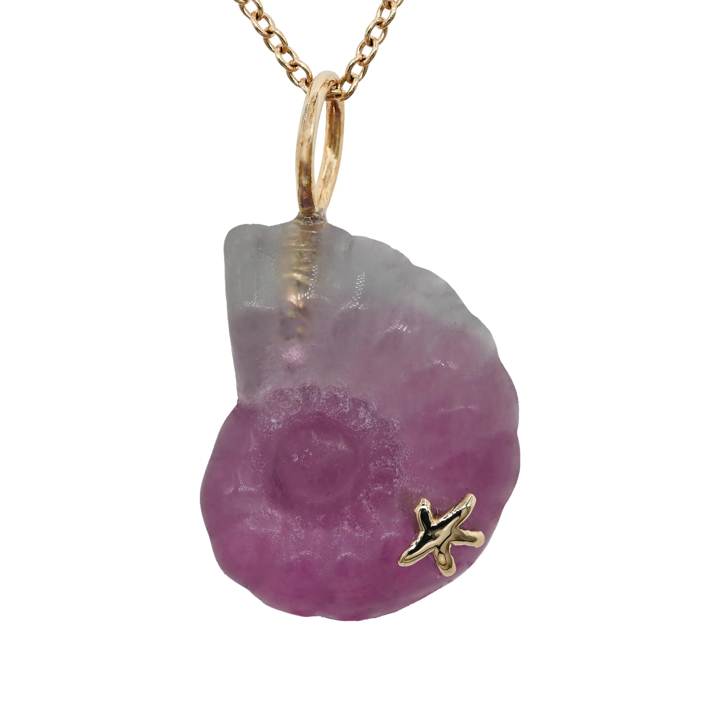 Nautilus purple.jpg