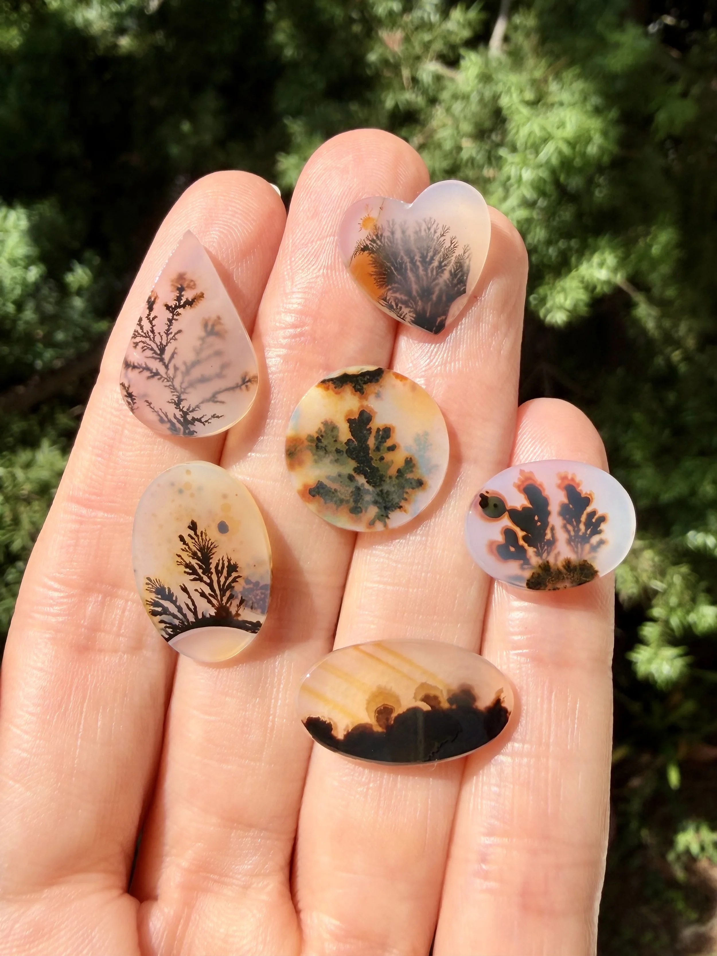 Dendritic agate CORAL.jpeg