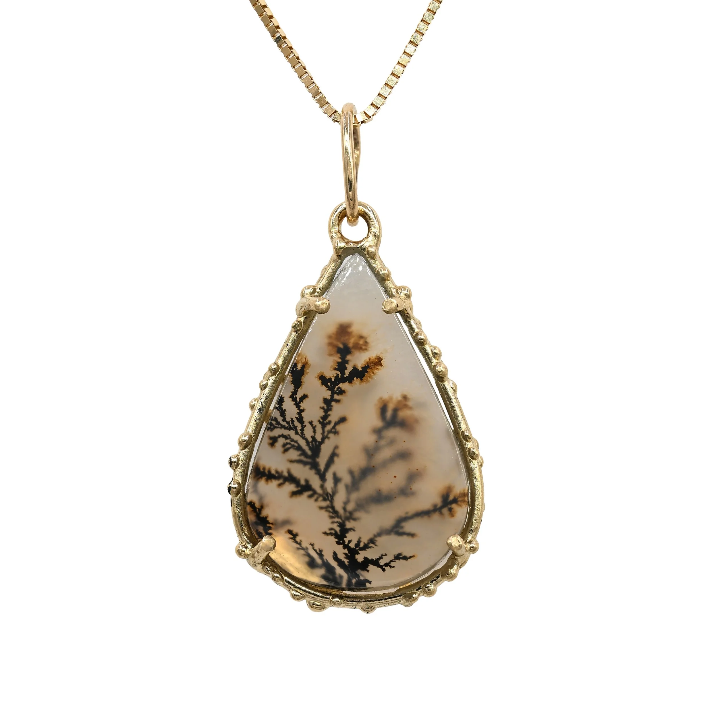 Coral Dendrite 1 front.jpg
