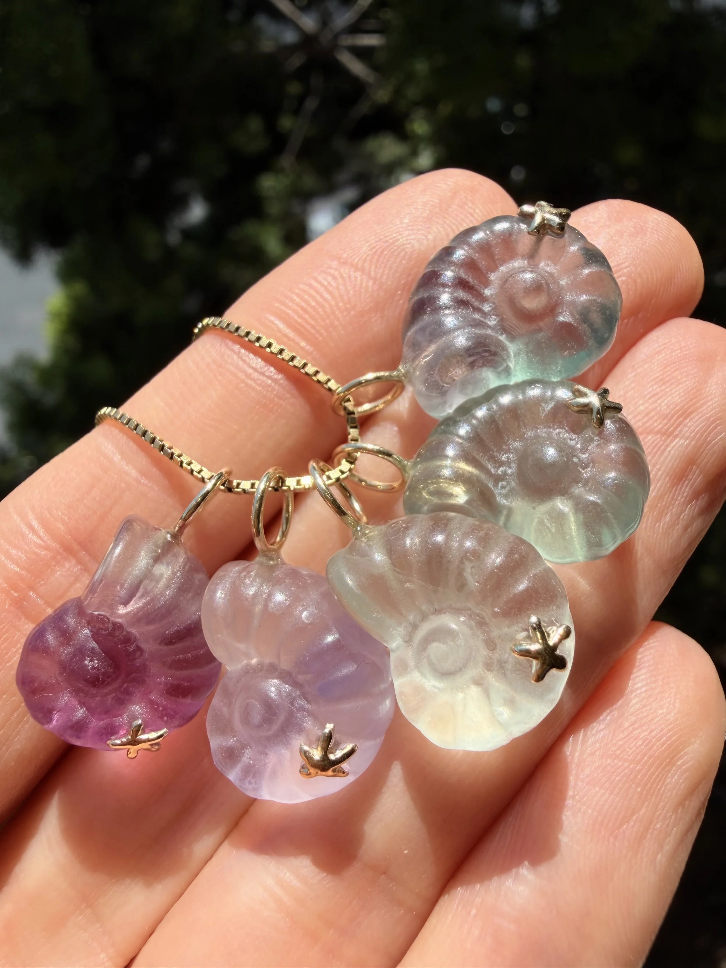 Fluorite nautilus charms on chain.jpeg