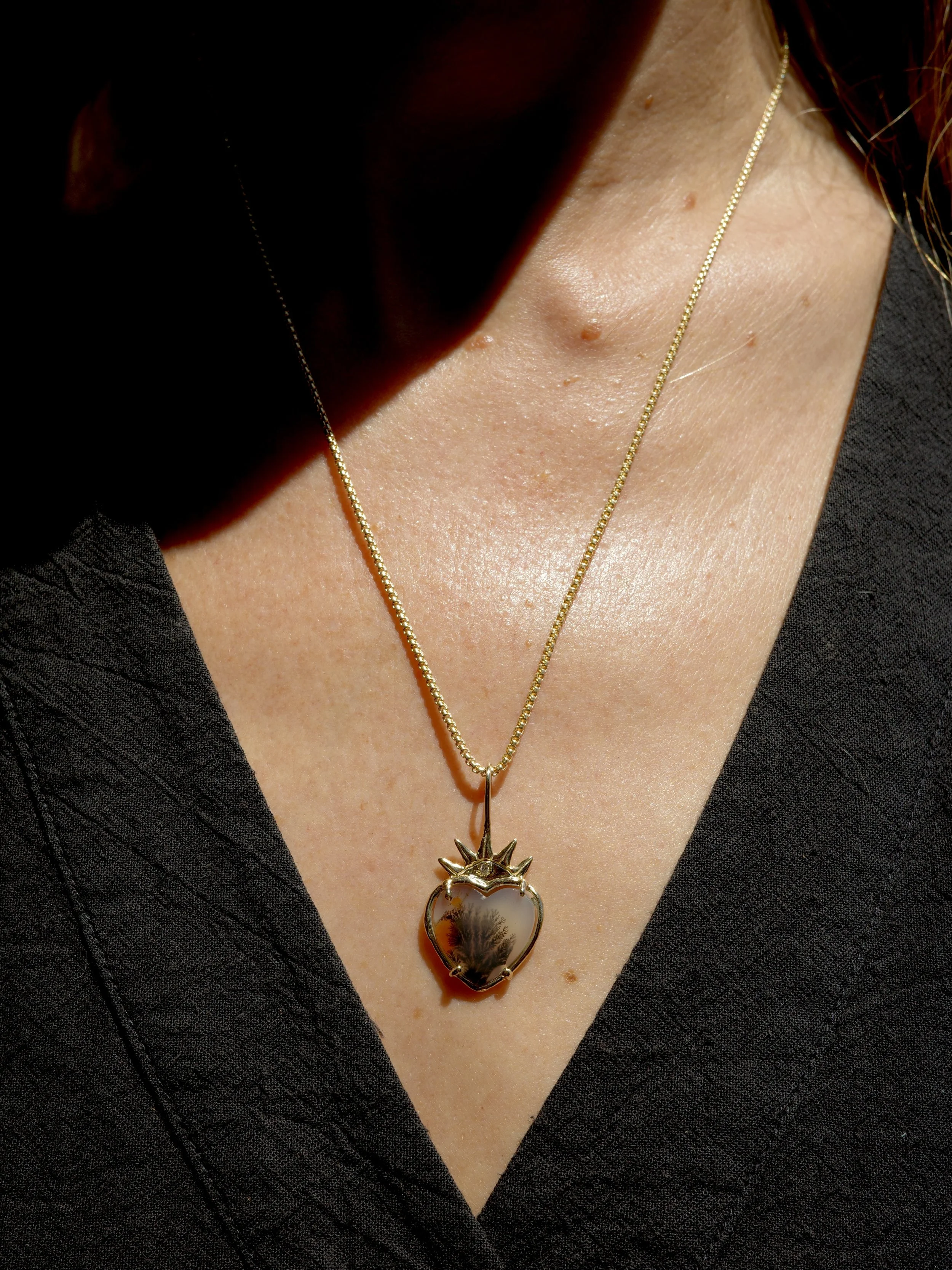 Coral heart dendrite model.JPG