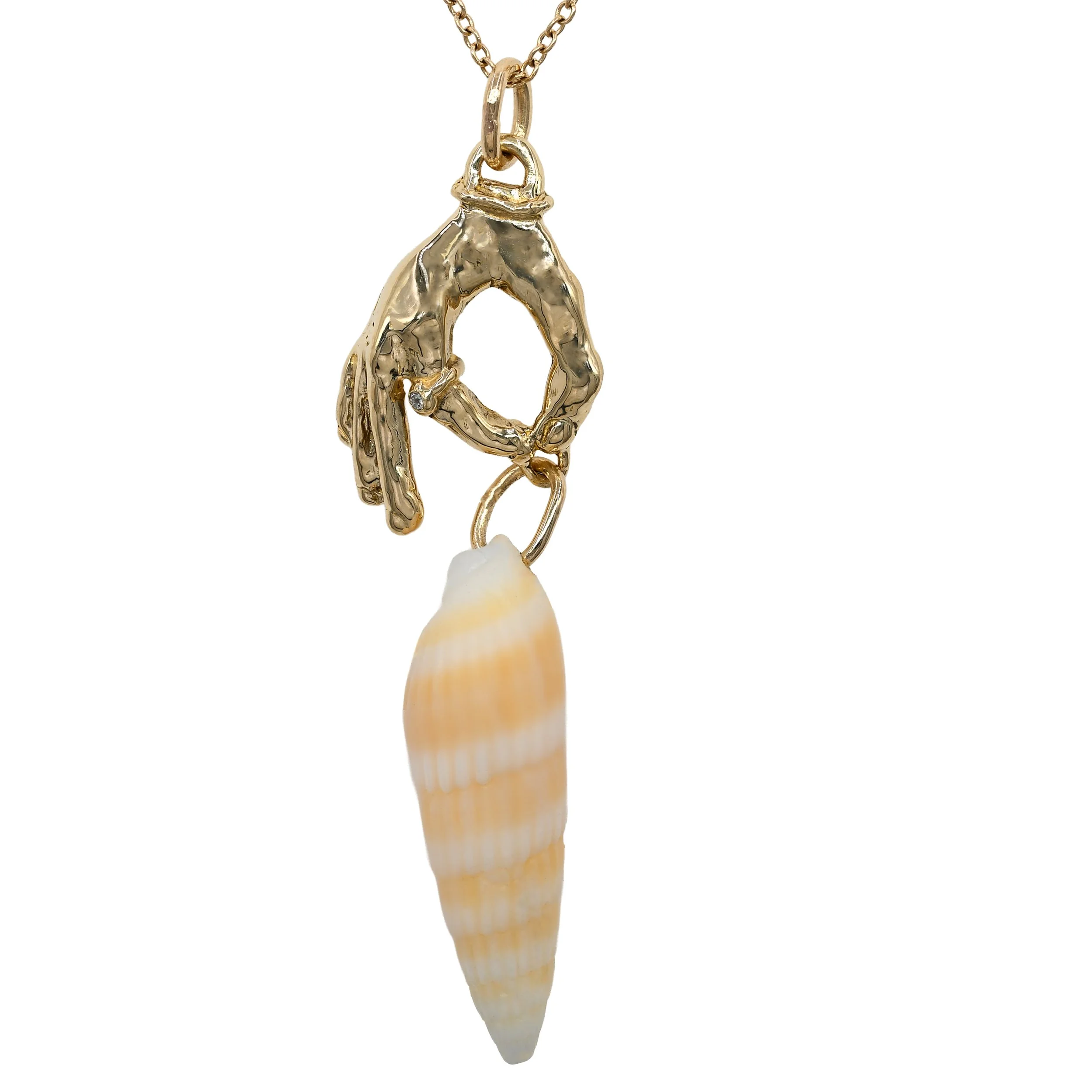 We are the Sea - natural auger shell