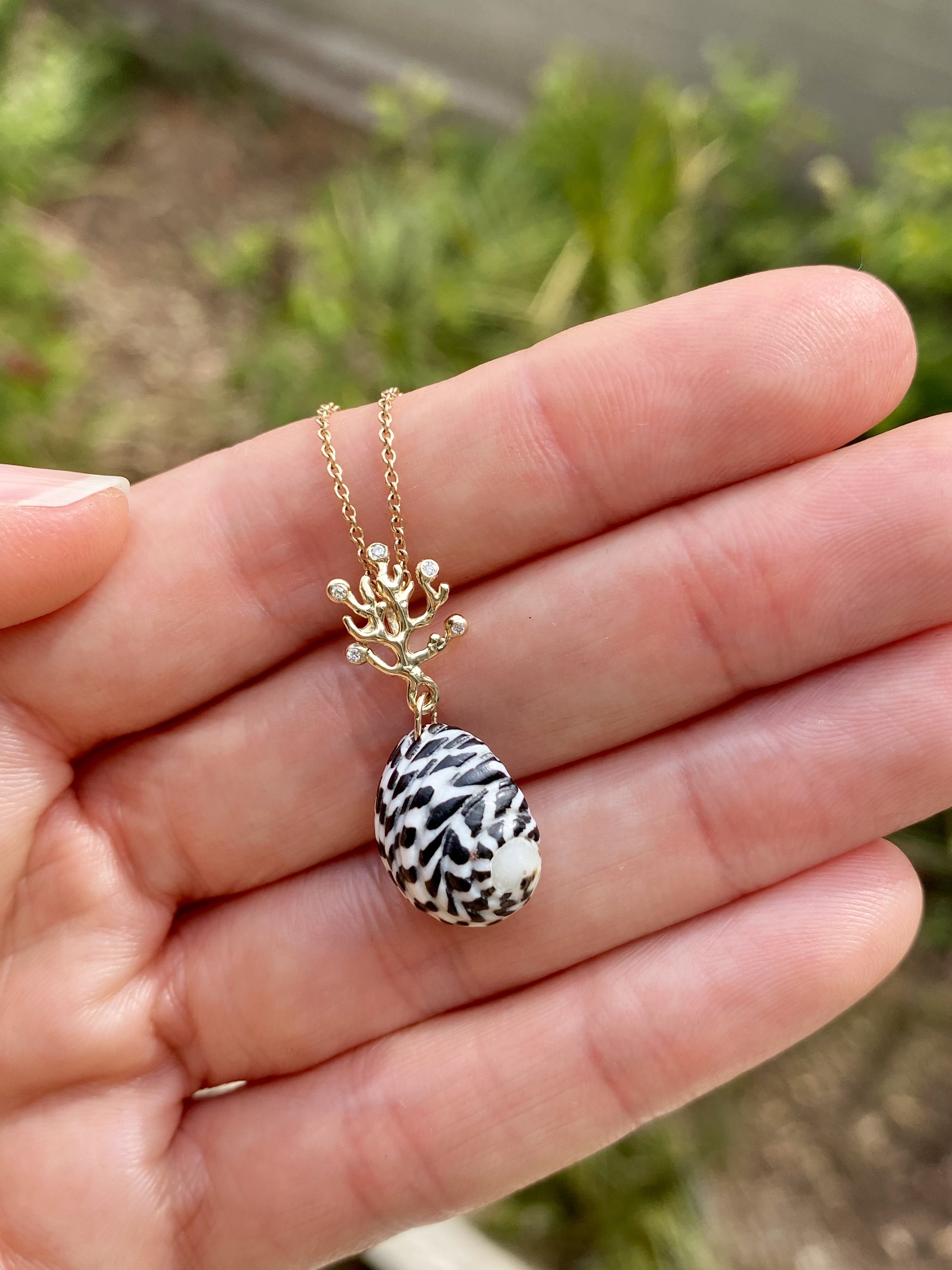 checkered nerite seashell 14k coral bail charm.jpeg